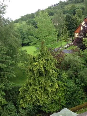 chambres d'hotes " Le Magnolia "