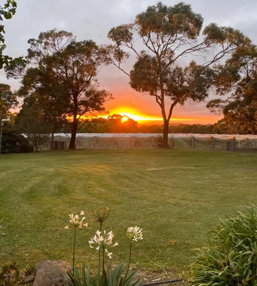 Gisborne Peak Winery Short Term Stays