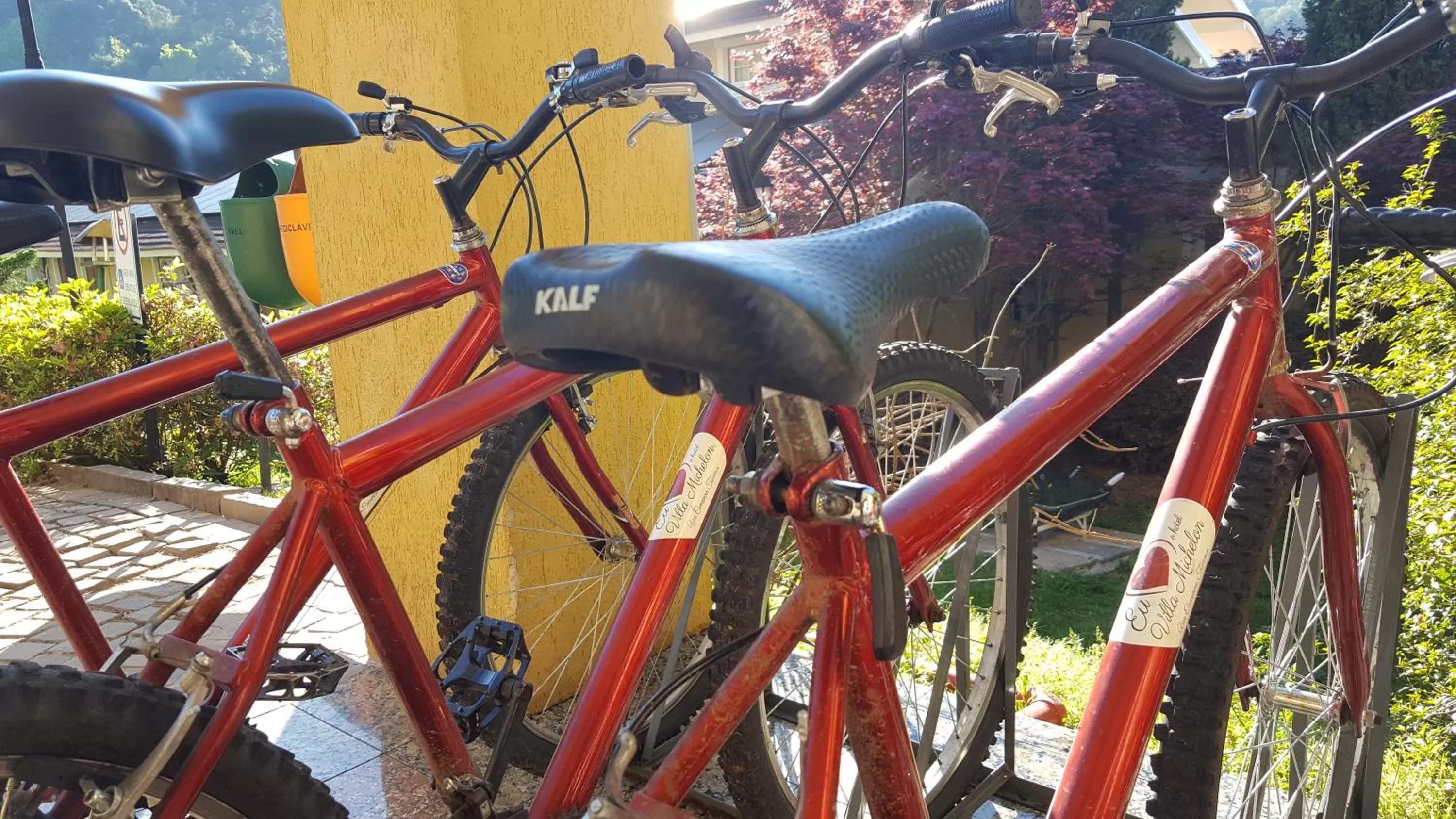 Cycling in Hotel Villa Michelon