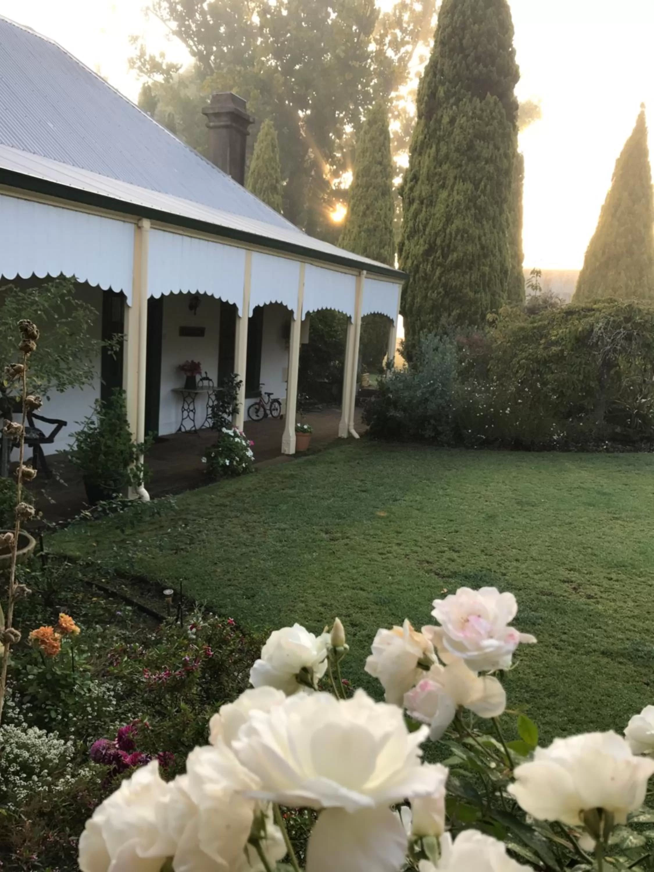 Garden, Property Building in Dingup House