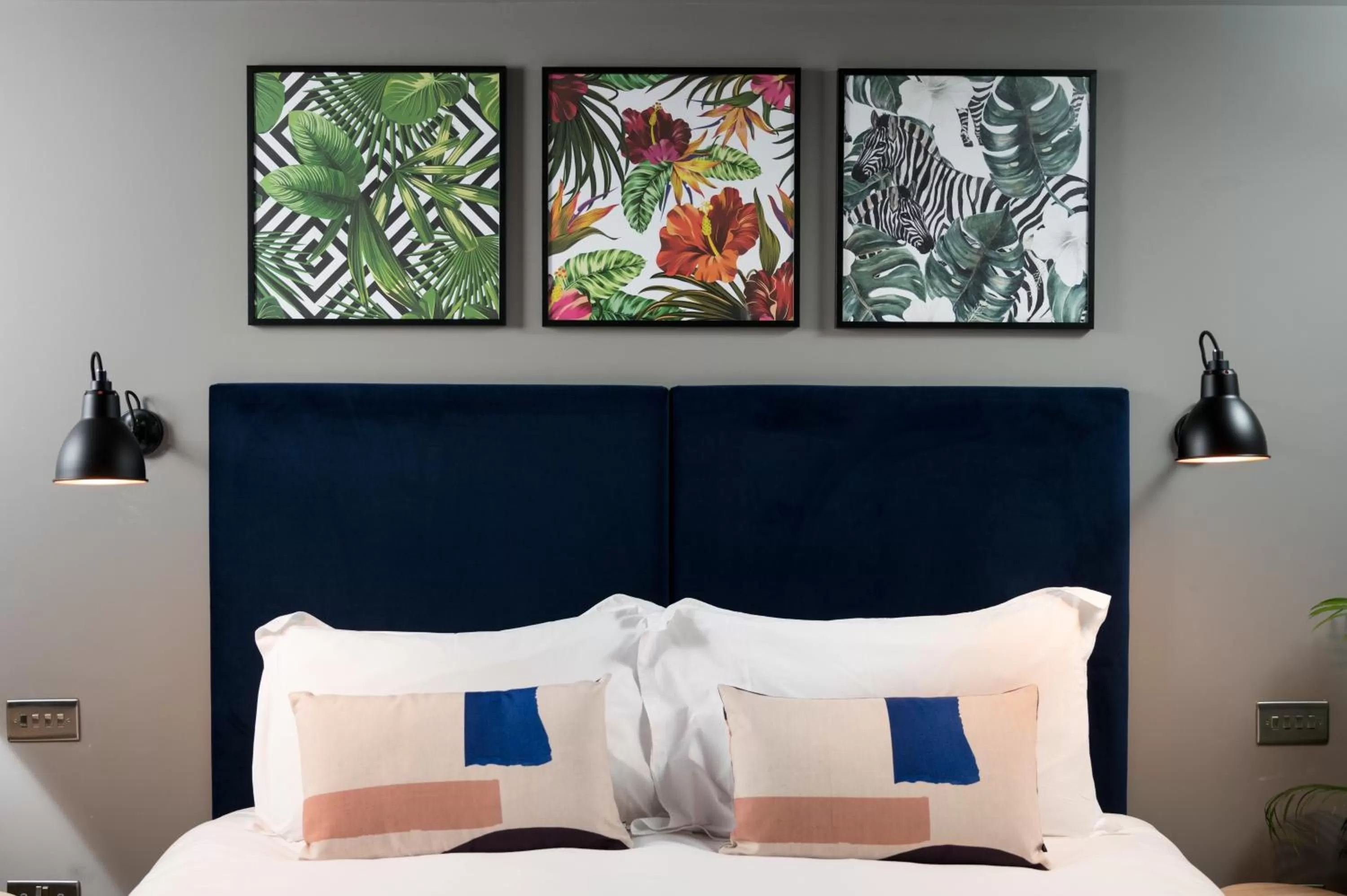 Bed in Hiding Space - Trim Street Apartments