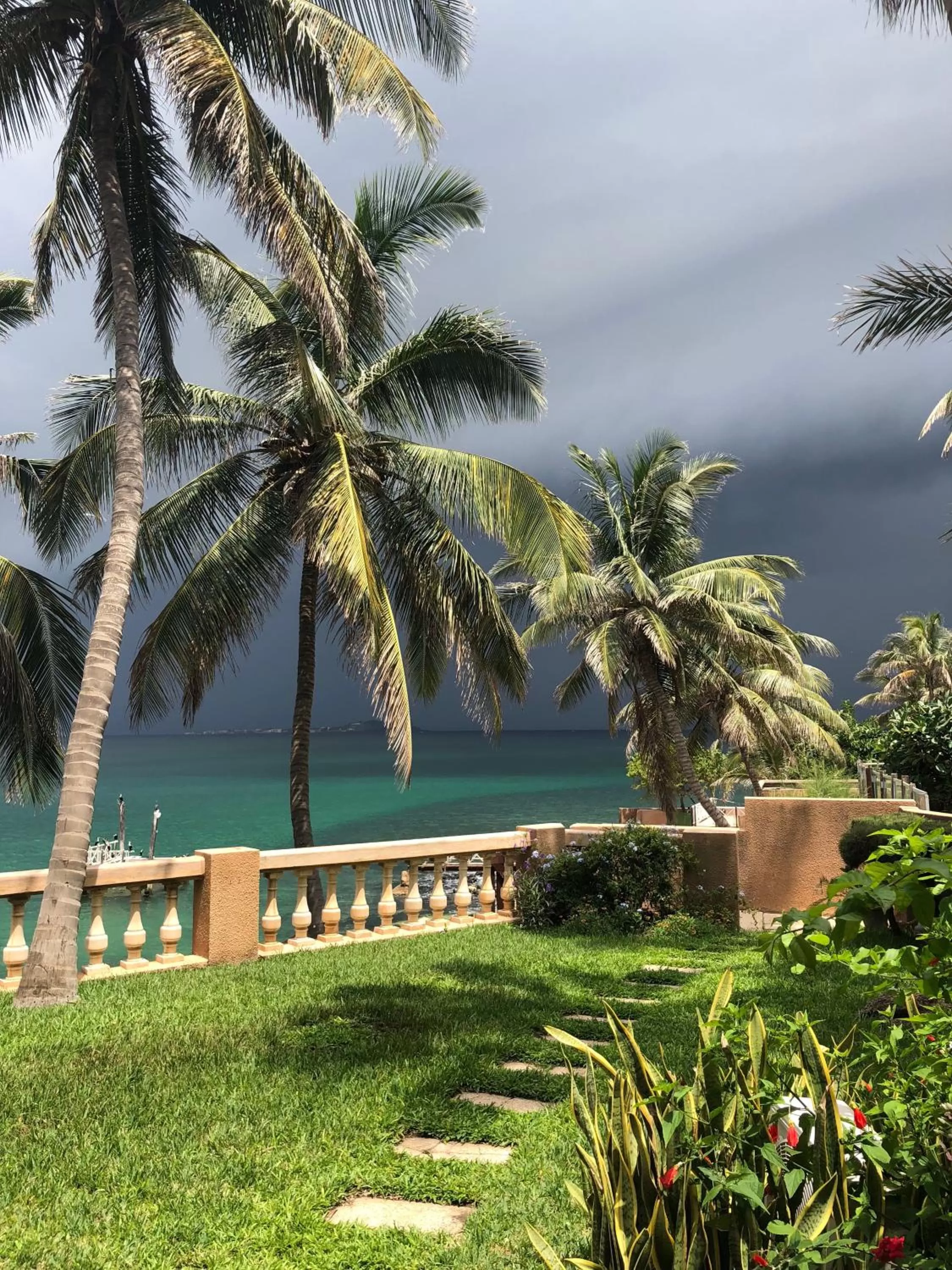 Garden in Hotel Jardin Savana Dakar