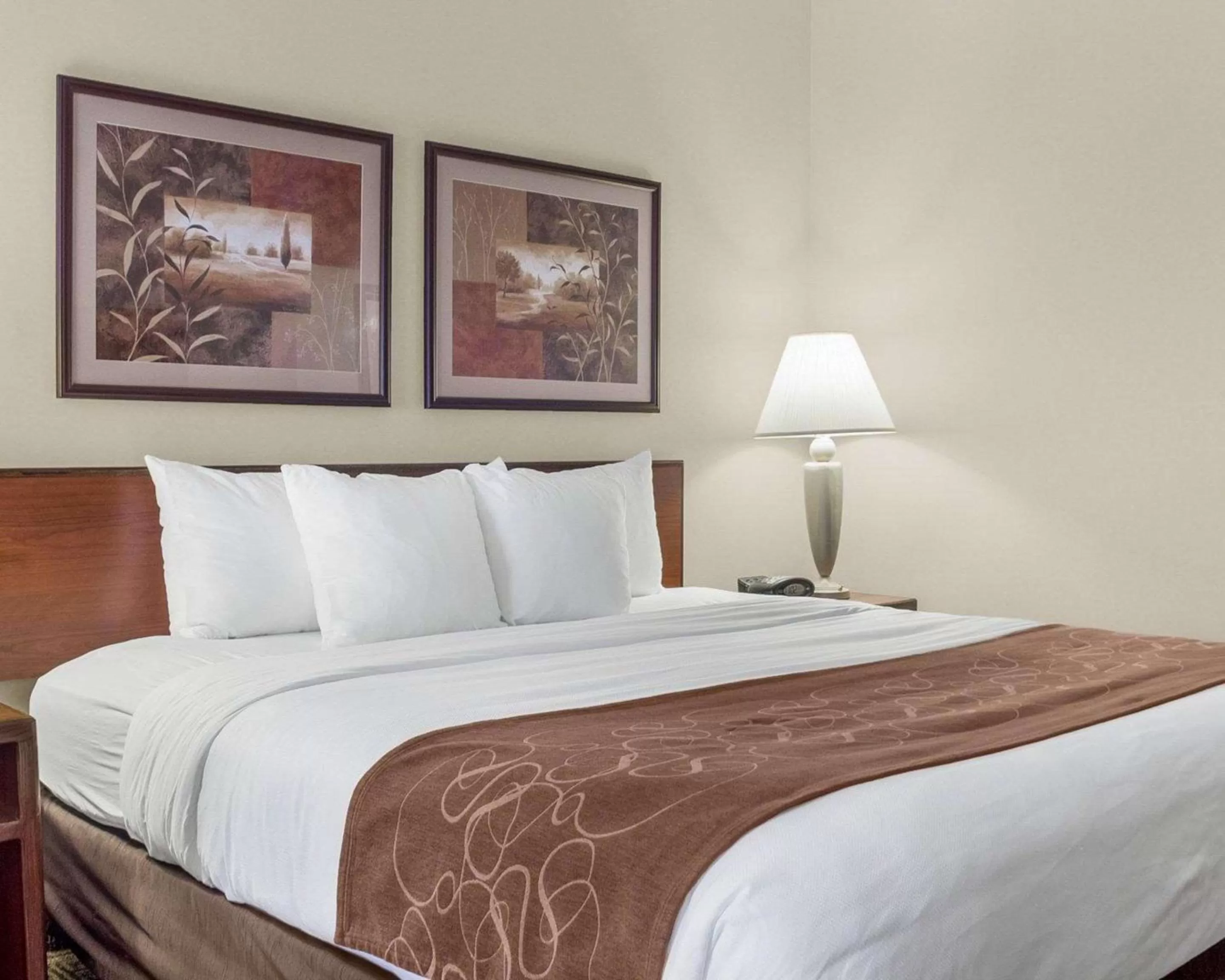 Photo of the whole room, Bed in Comfort Inn Bismarck