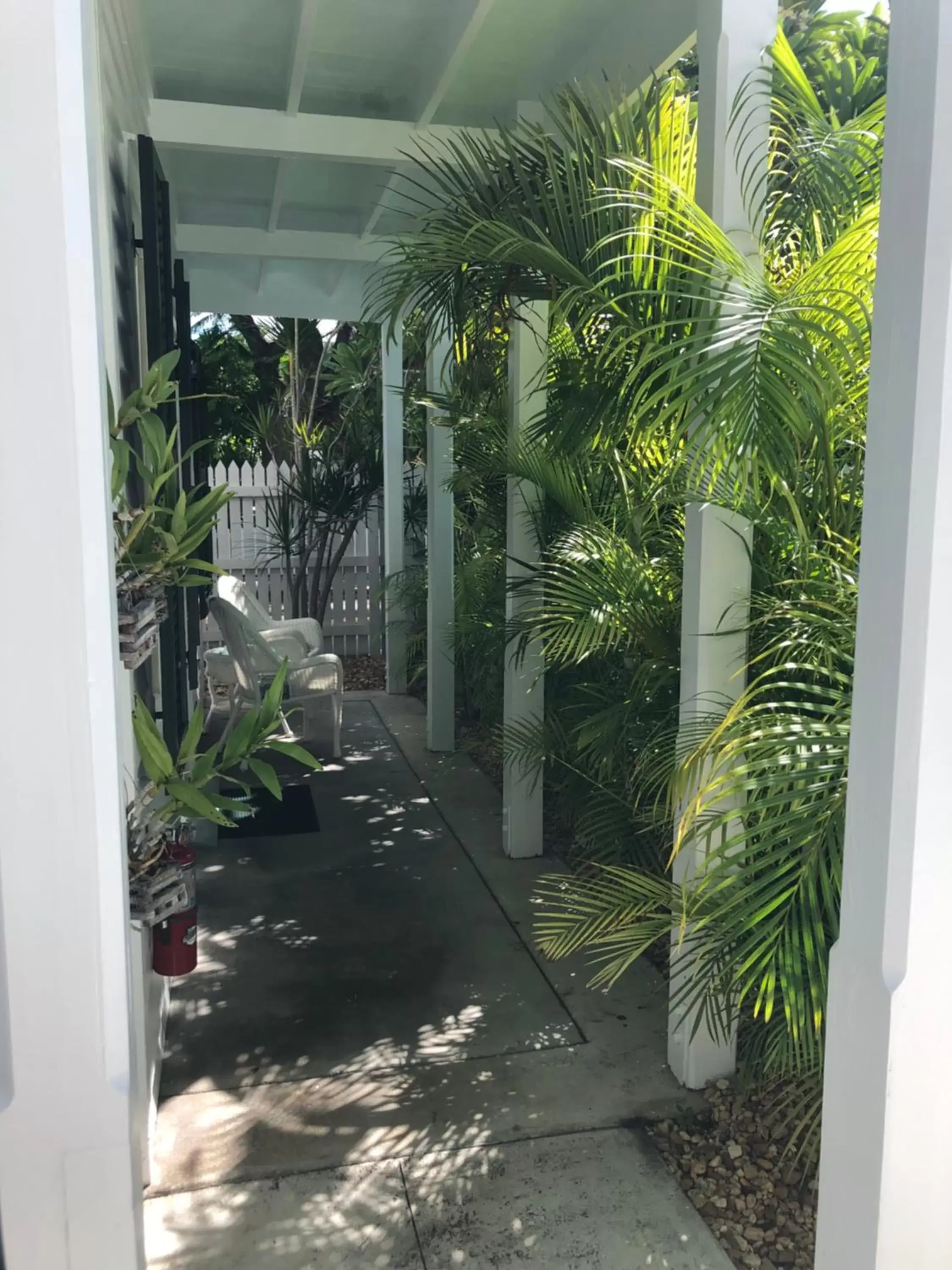 Caribbean in The Conch House Heritage Inn Caribbean in The Conch House Heritage Inn