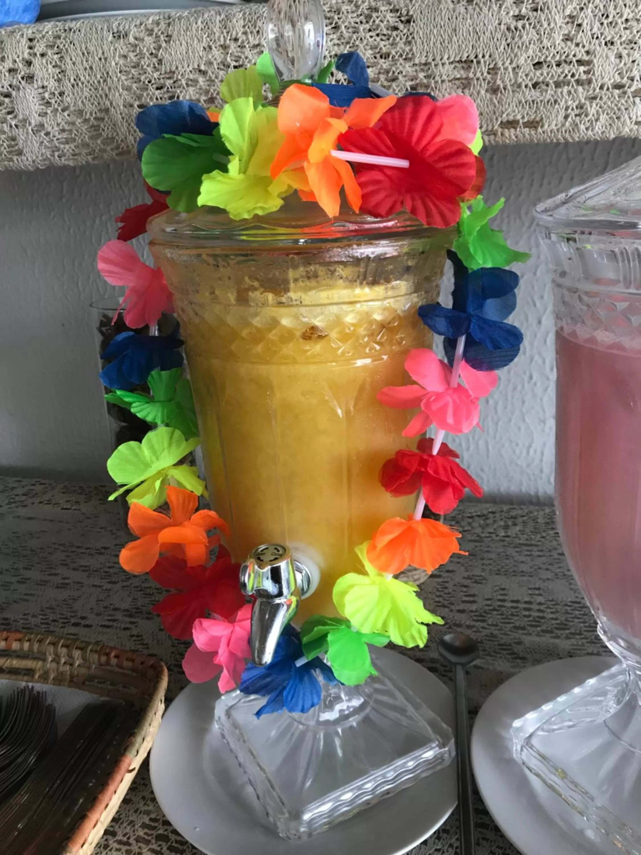 Non alcoholic drinks in Pousada America do Sol