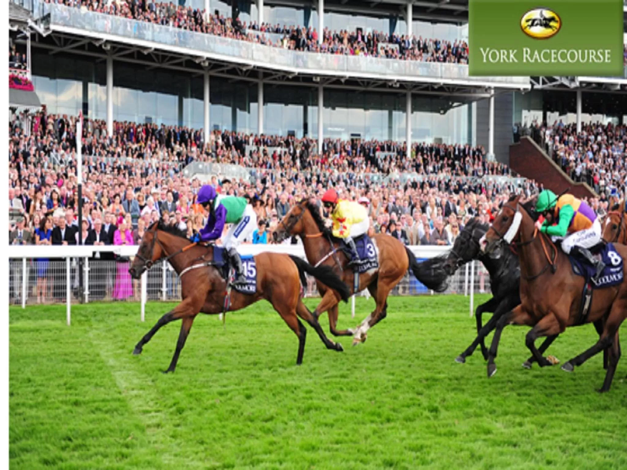 Activities in The Fort York