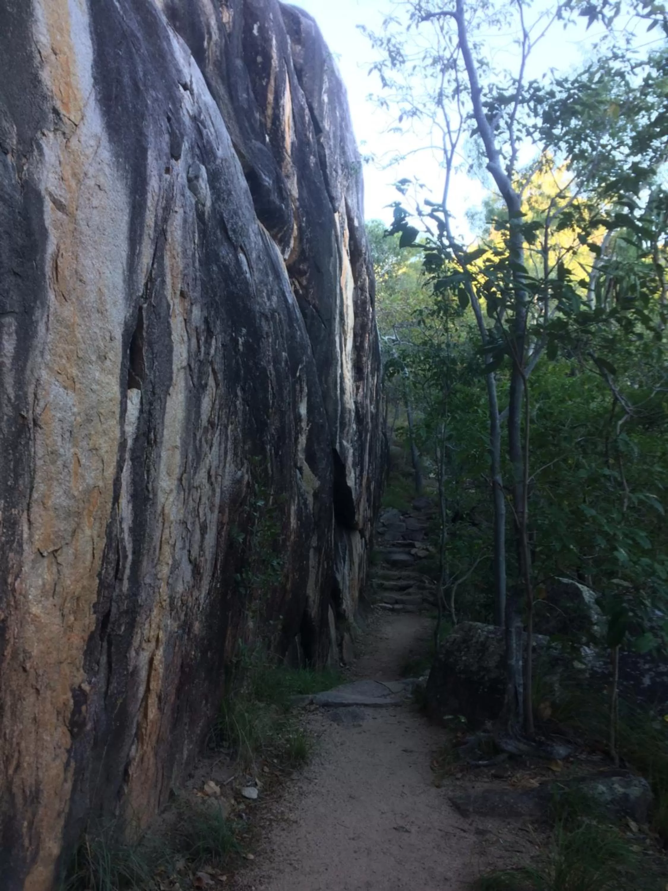 Natural landscape in Tropical Palms Resort & 4WD Hire