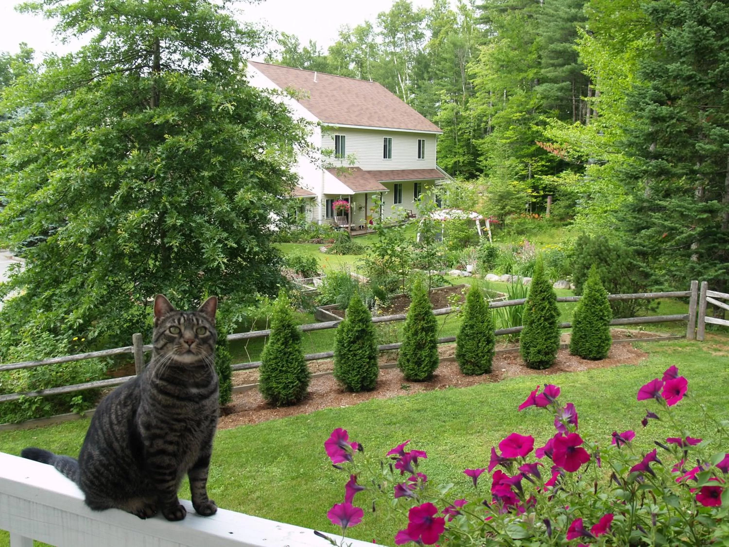 Garden in Wilson Lake Inn
