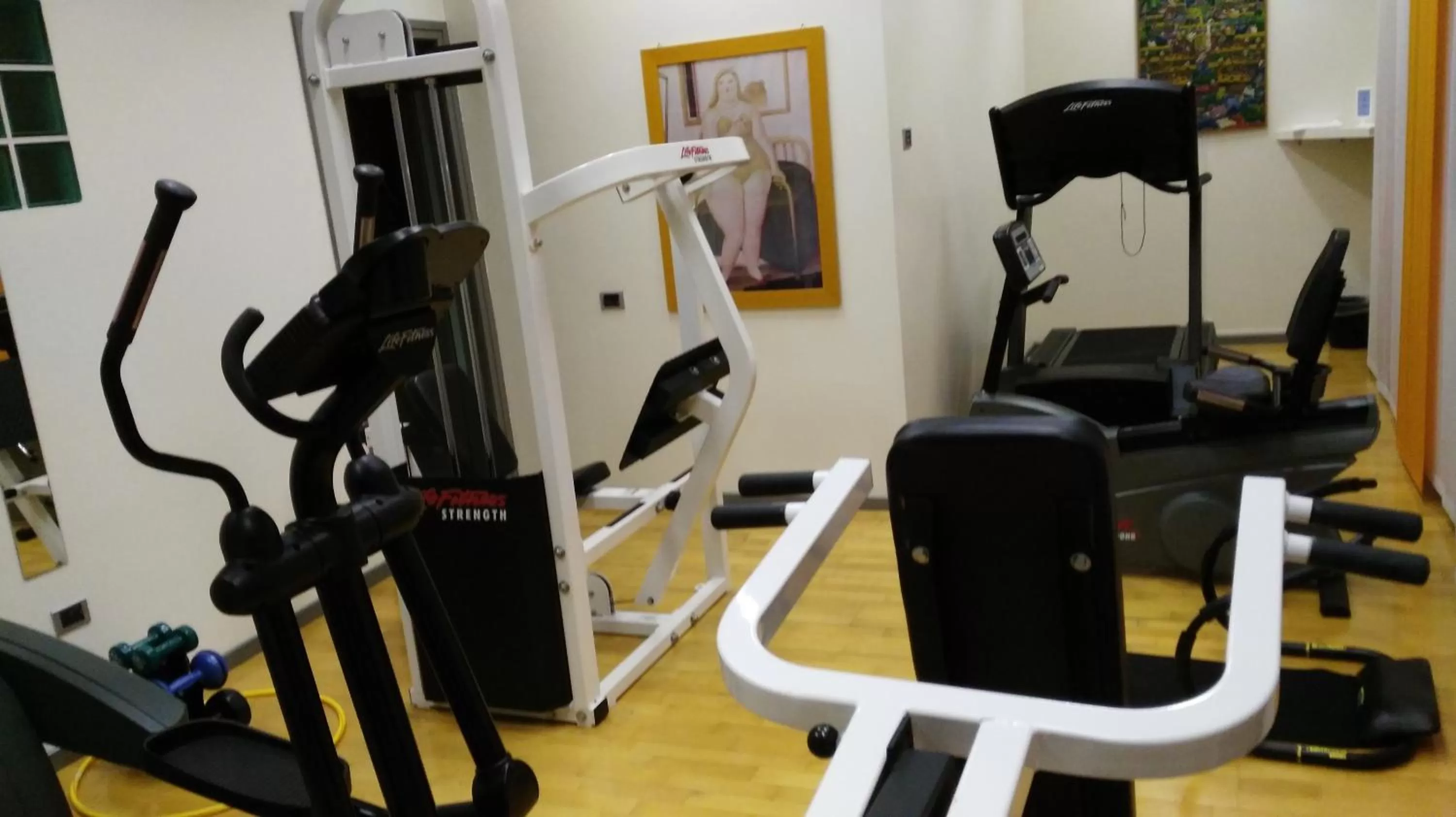 Fitness centre/facilities in MiHotel