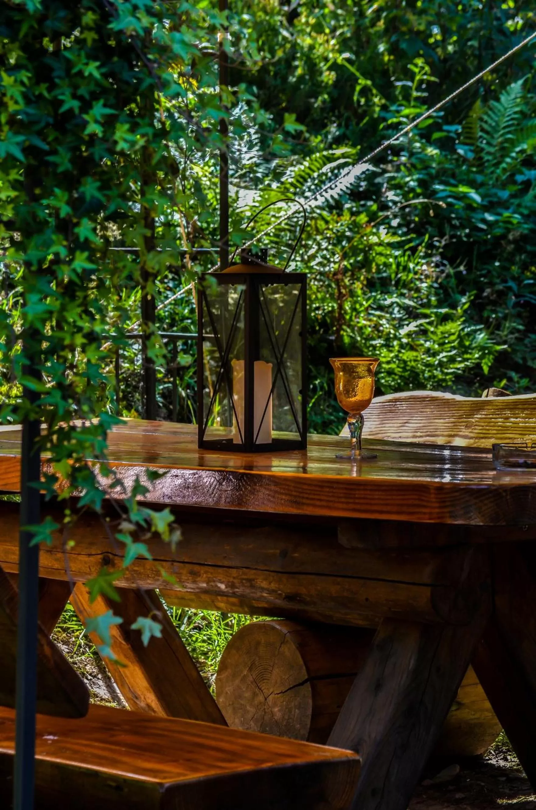 Patio in Hotel Harzlodge
