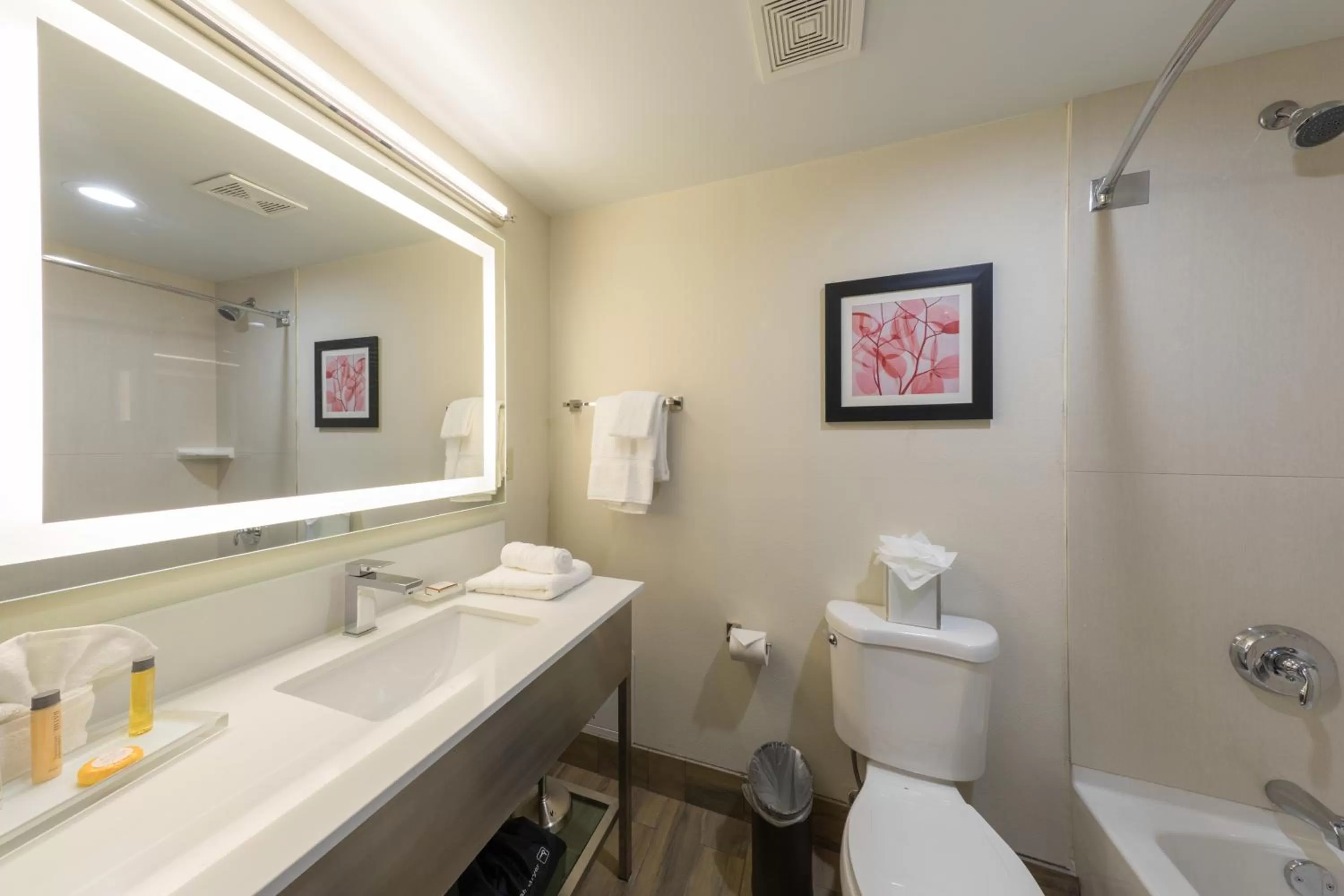 Other in Holiday Inn Brookfield - Milwaukee by IHG