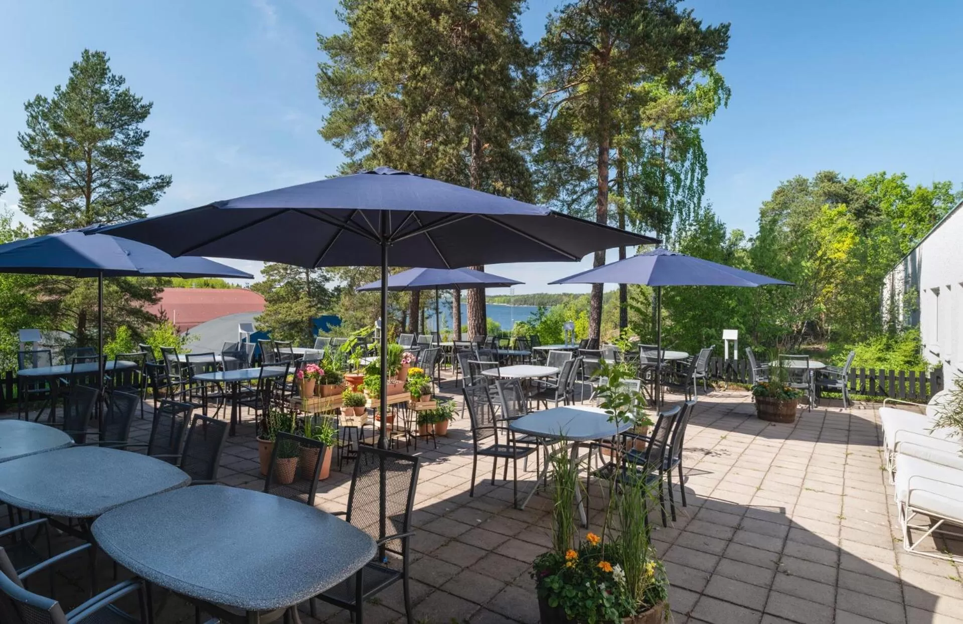 Restaurant/places to eat in Bosön Hotell & Konferens