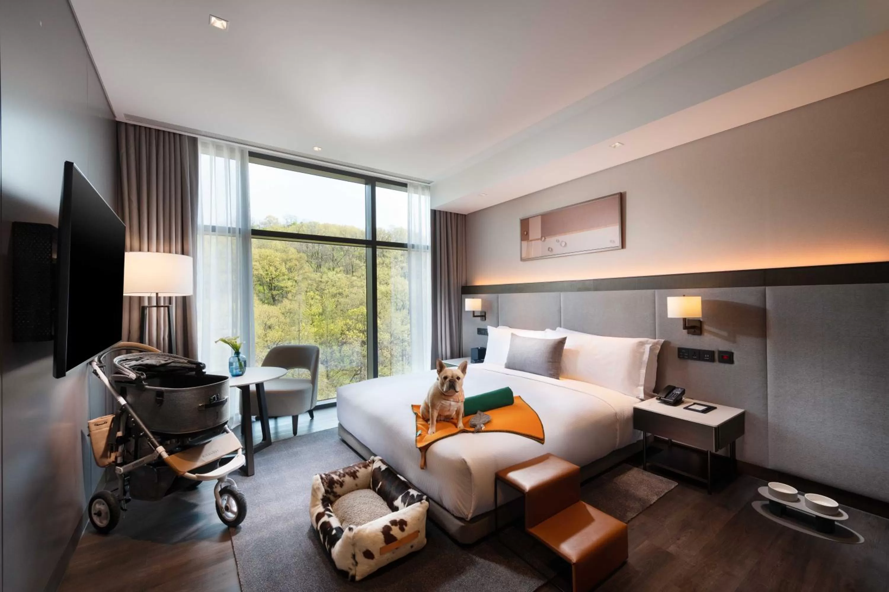 Pets in DoubleTree By Hilton Seoul Pangyo