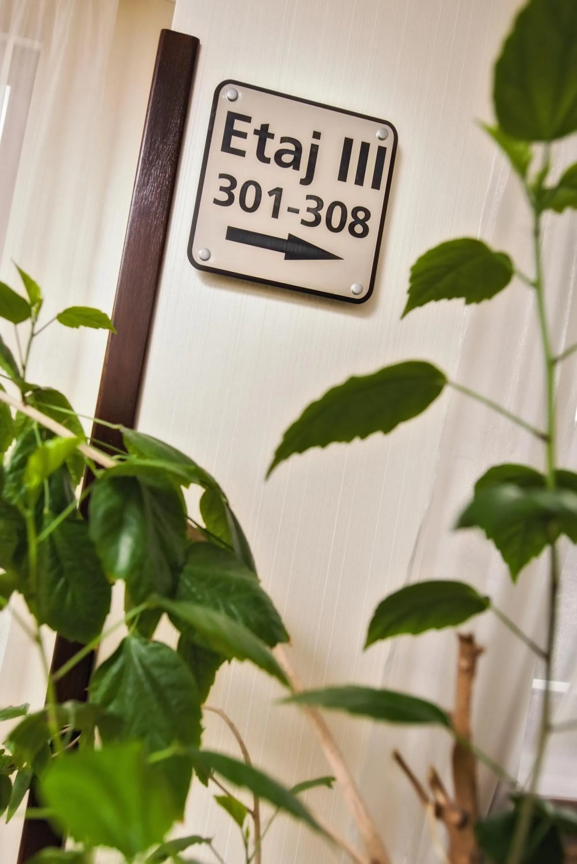 Lobby or reception in Hotel Ozana