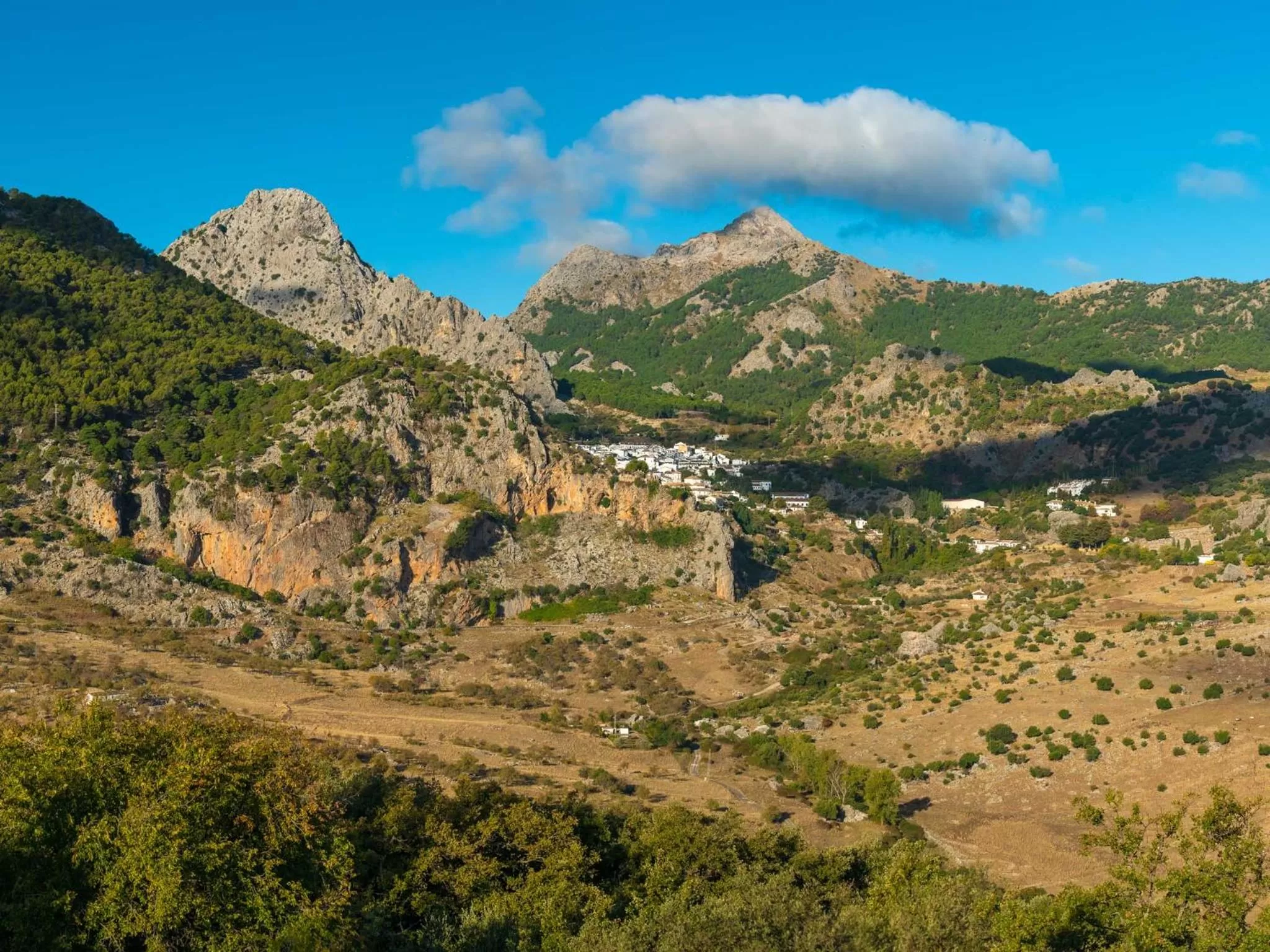 Natural landscape in Hotel Fuerte Grazalema
