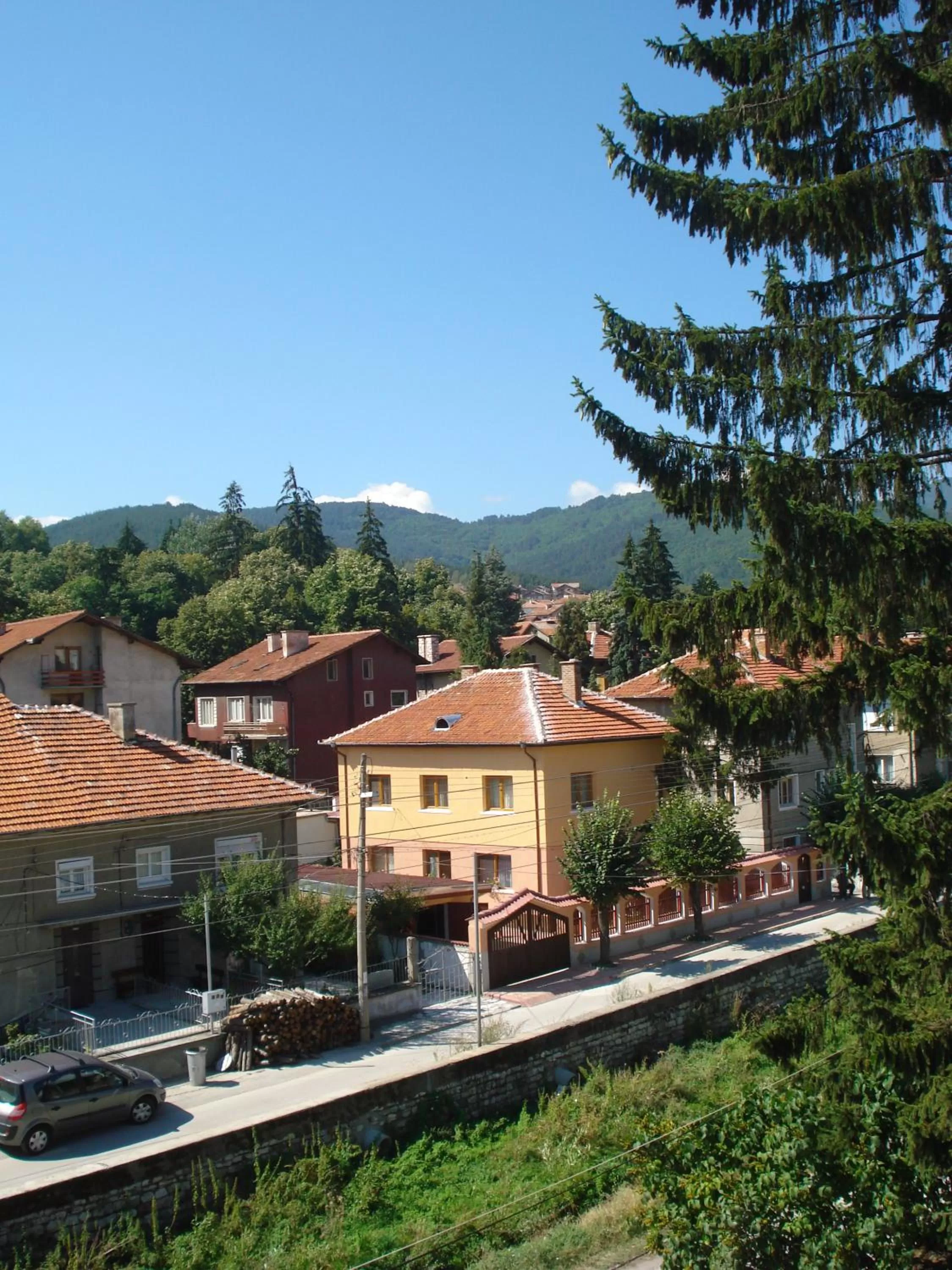 Area and facilities in Family Hotel Velevi