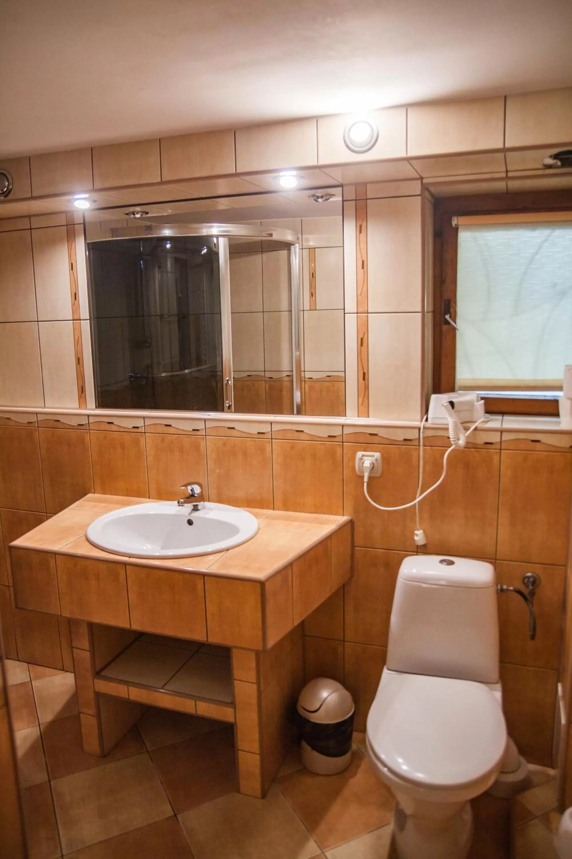 Toilet, Bathroom in POKOJE GOŚCINNE WILCZNIK 12