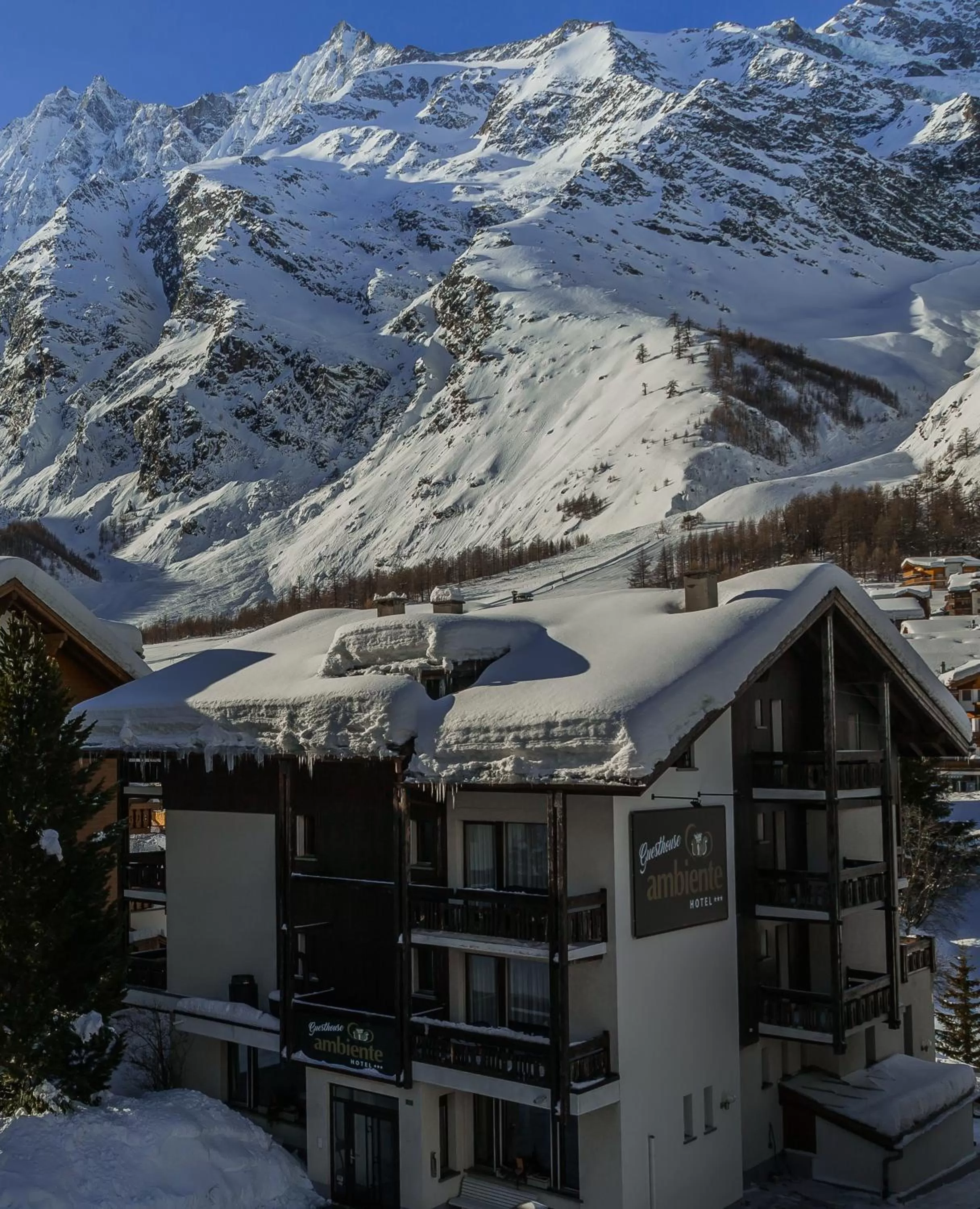 Mountain view in Ambiente Guesthouse