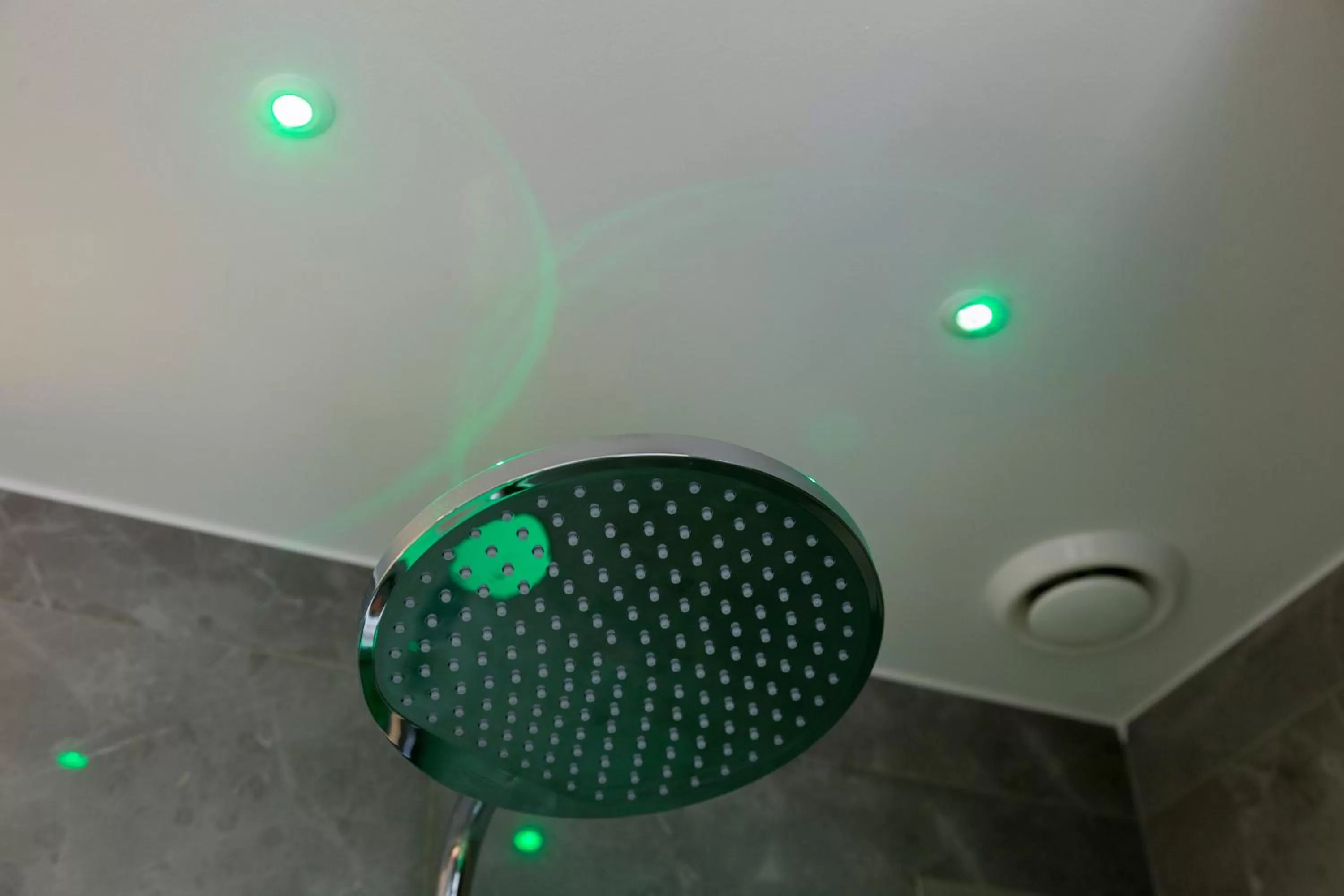 Shower in Ghibli Hotel