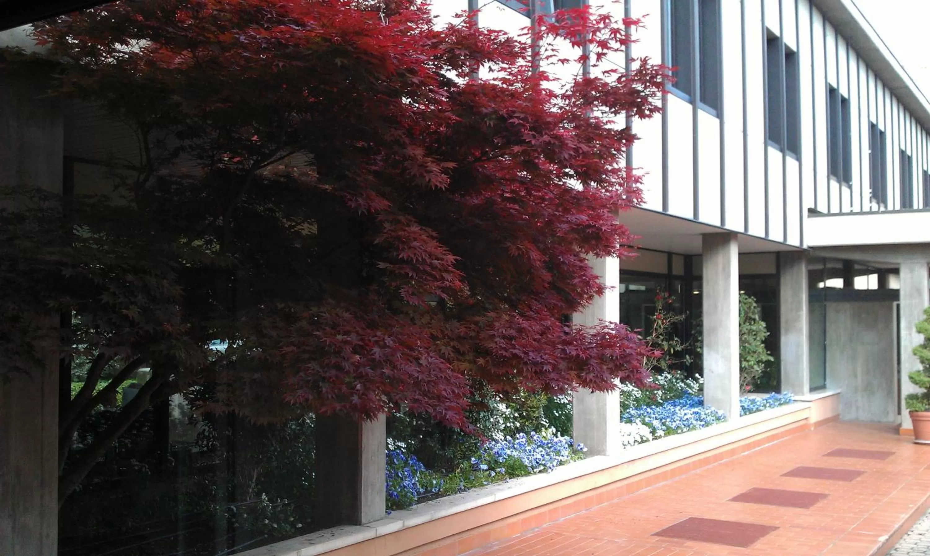 Property building in Albergo Casa dell'Ospite