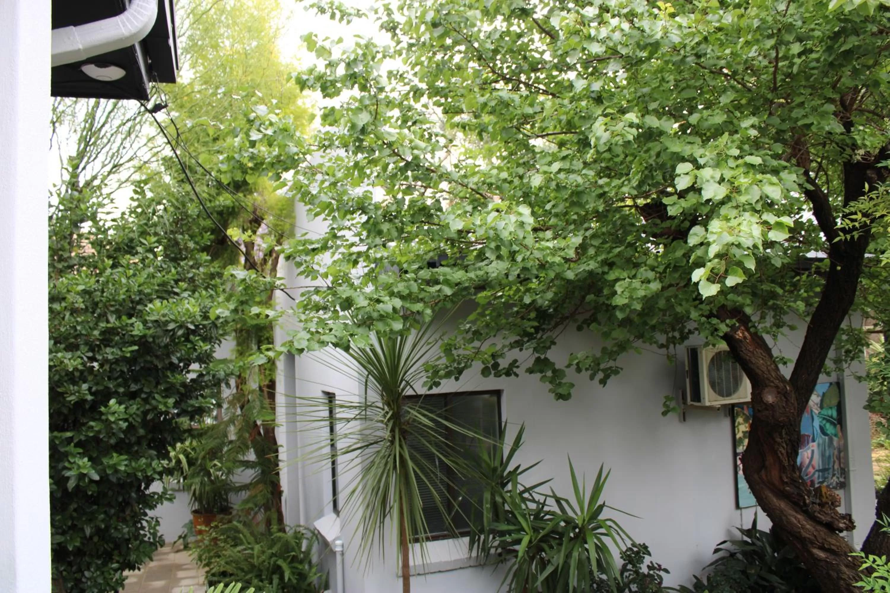 Property building in Jedidja Bed and Breakfast