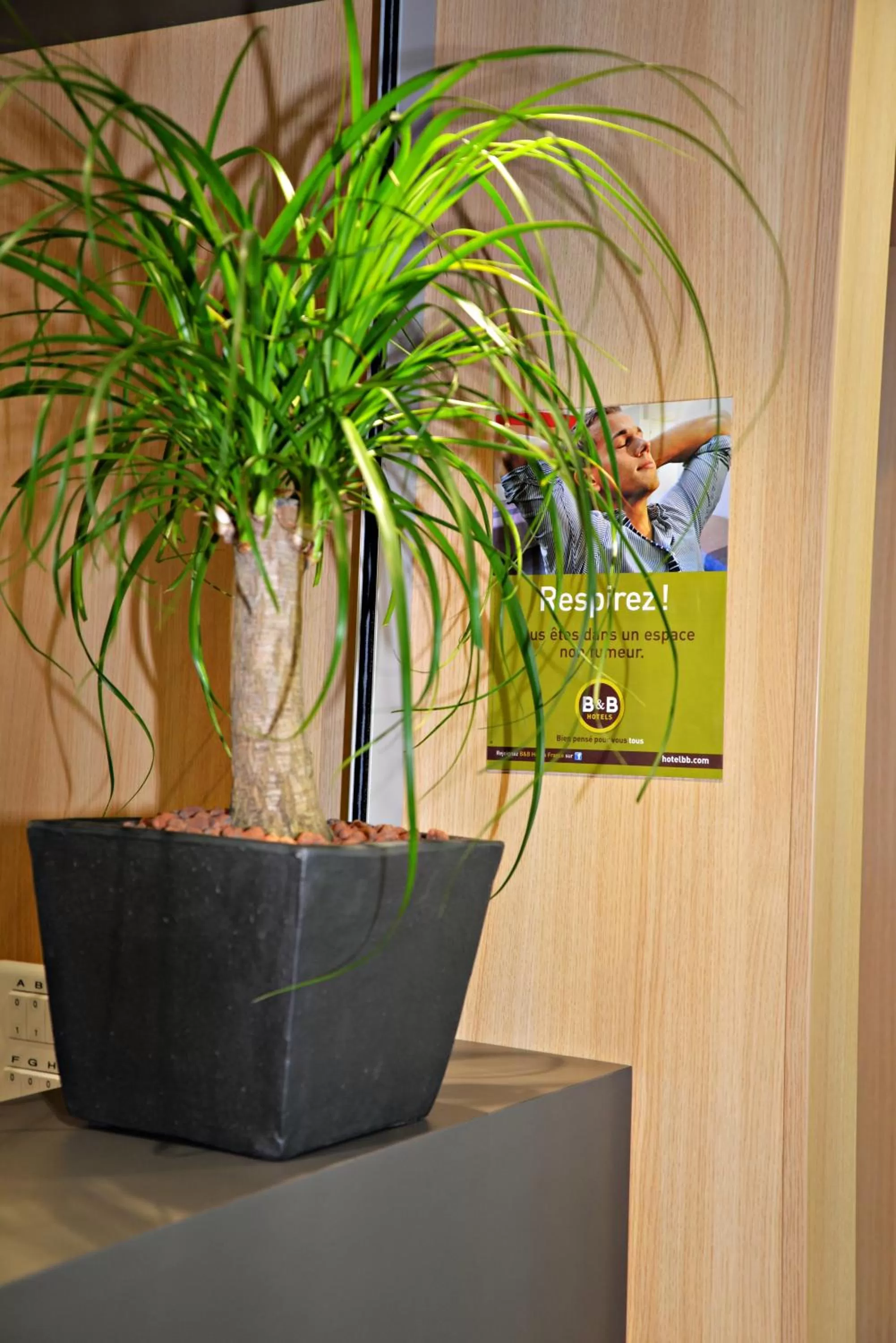 Property logo or sign in B&B HOTEL Alès - Pôle Mécanique