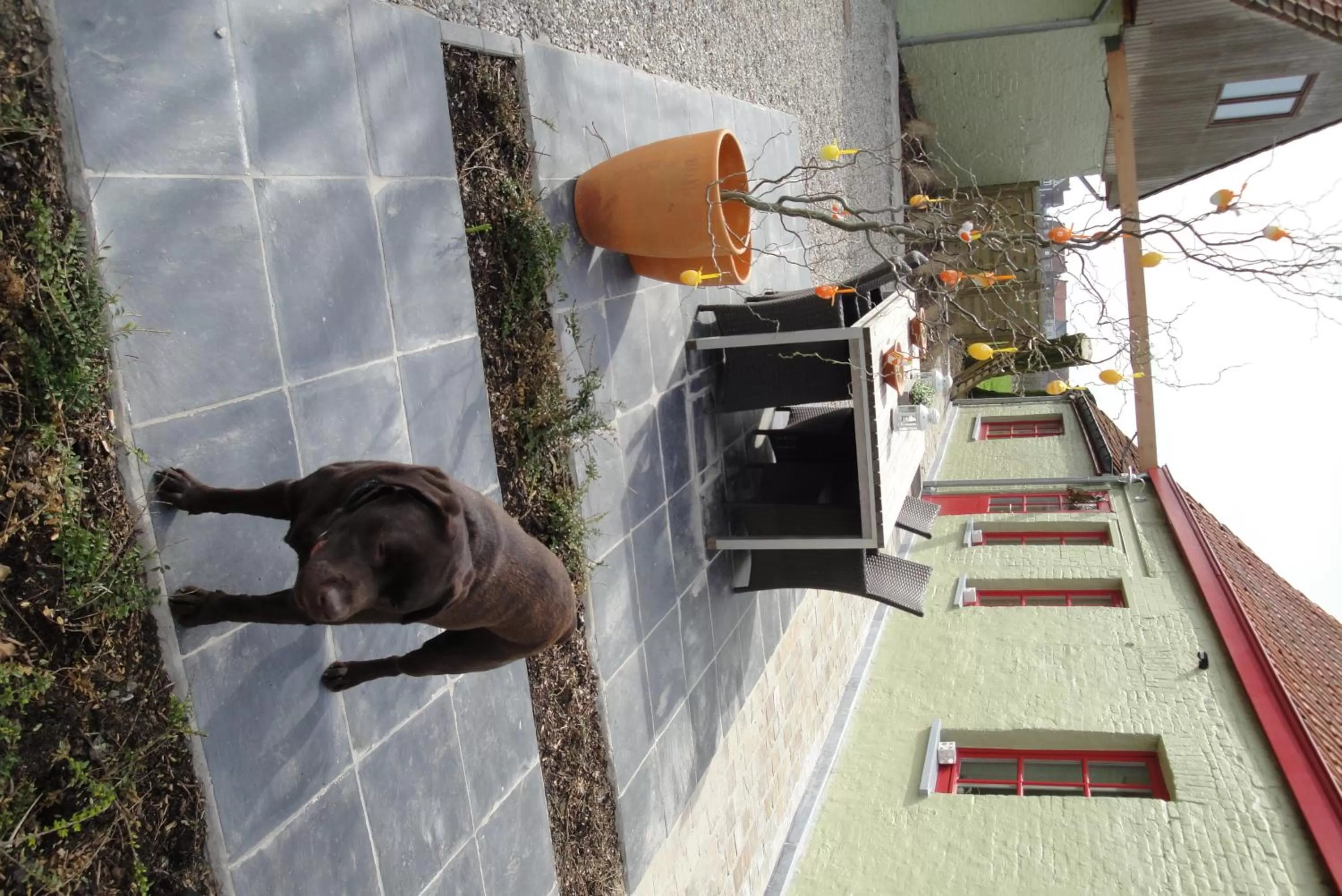 Balcony/Terrace in B&B De Zoete Kers
