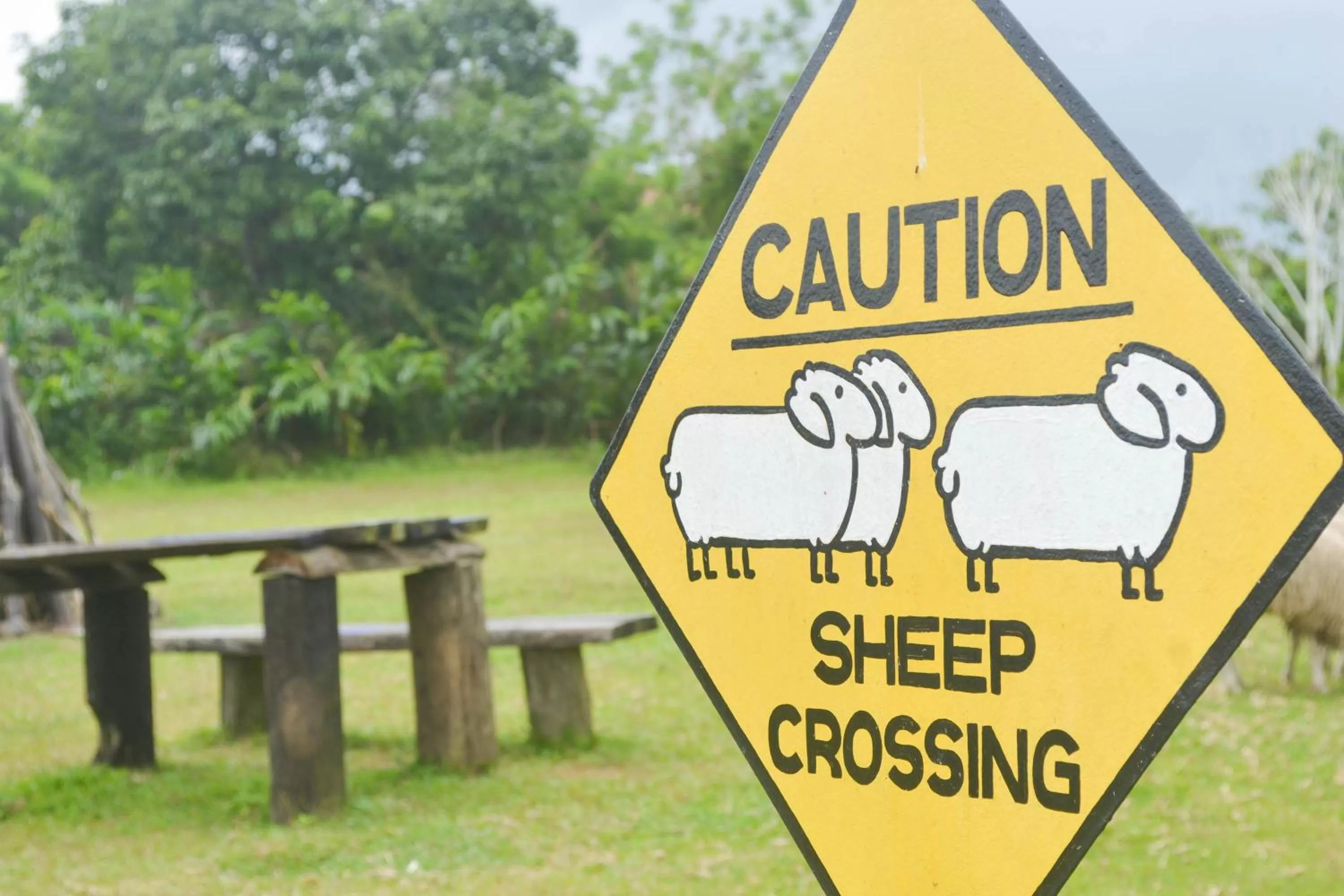 Other in Hotel Kimberly Tagaytay