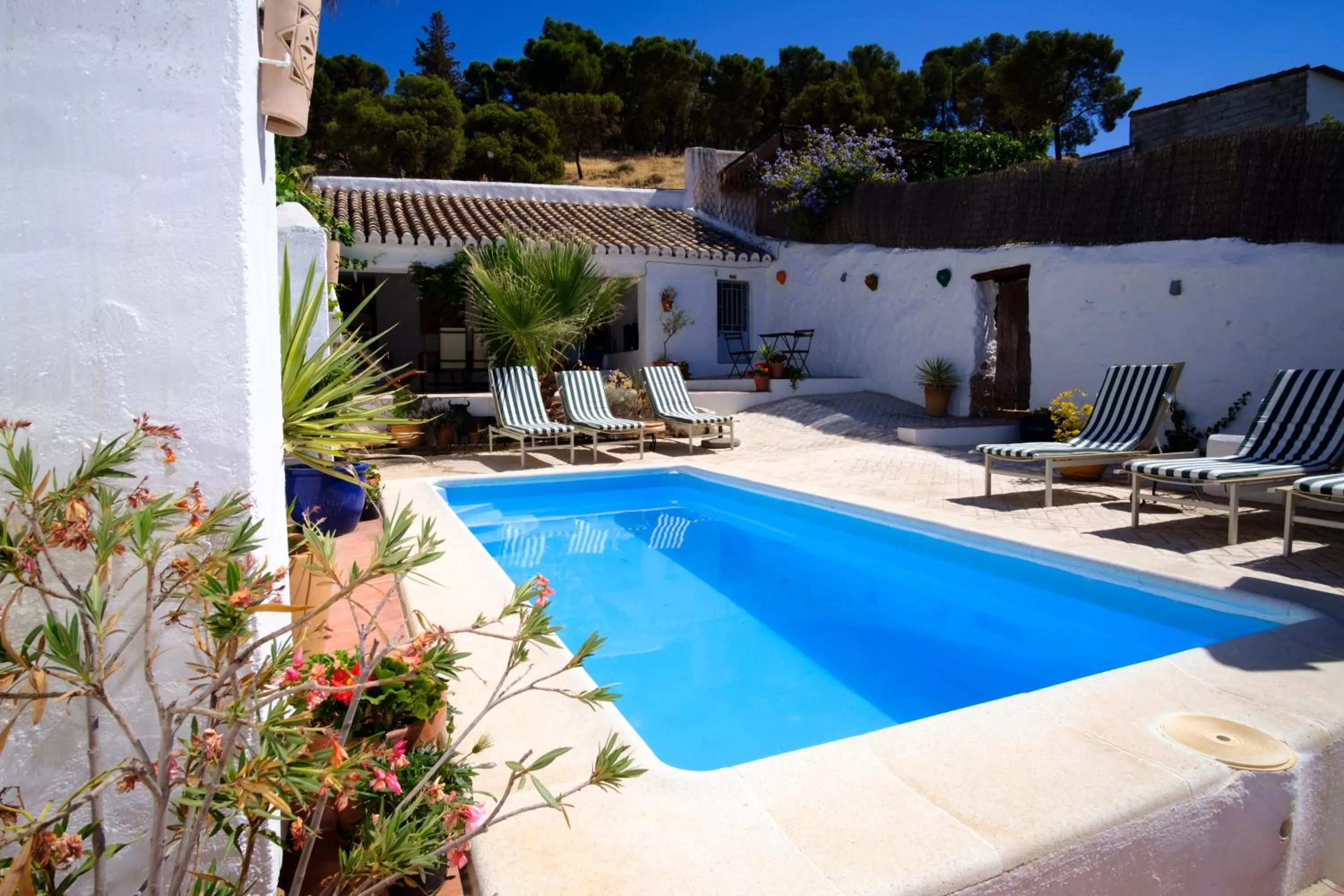 Swimming pool in Almohalla51