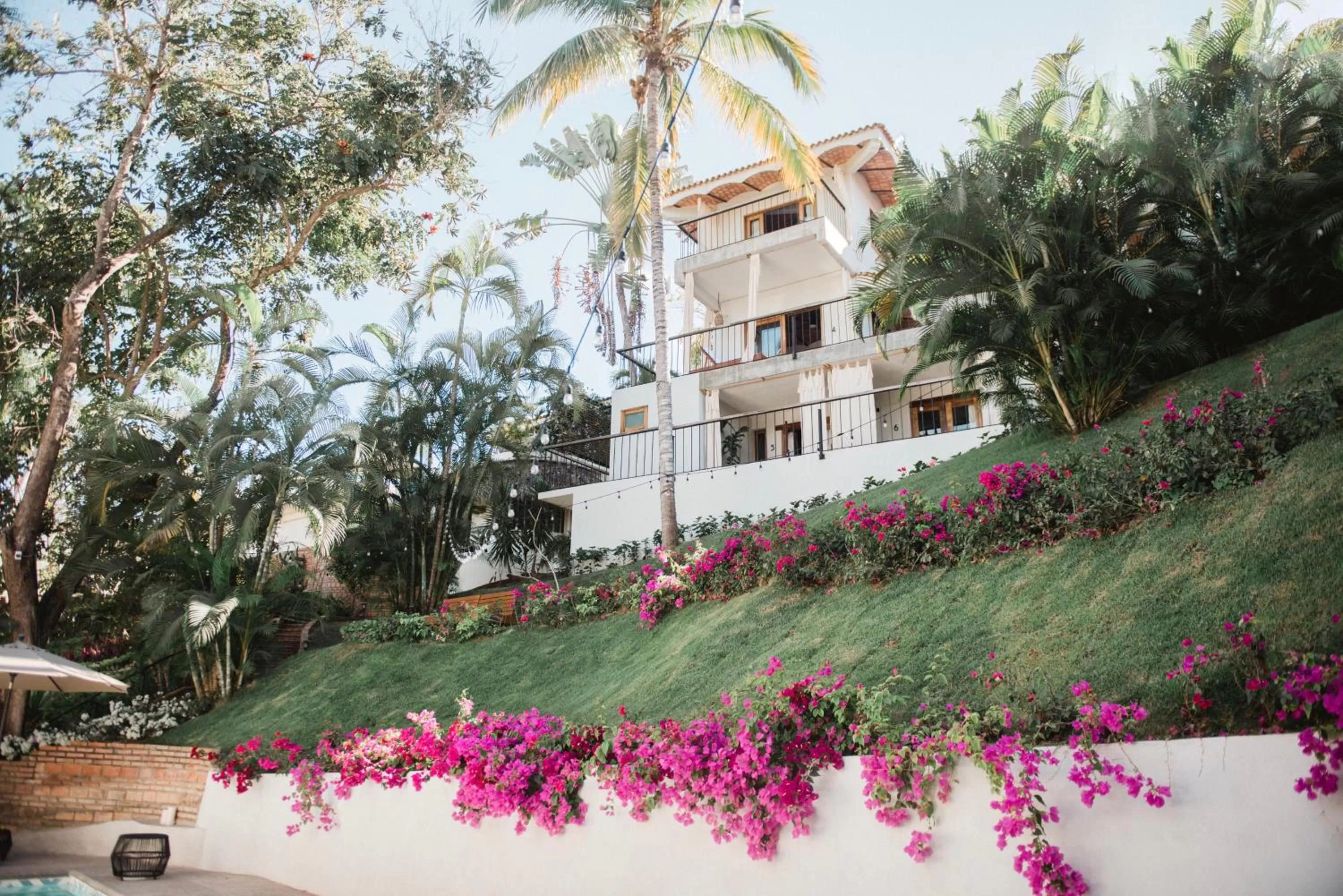 Garden in DISTRITO 88 - Hotel Boutique Only Adults