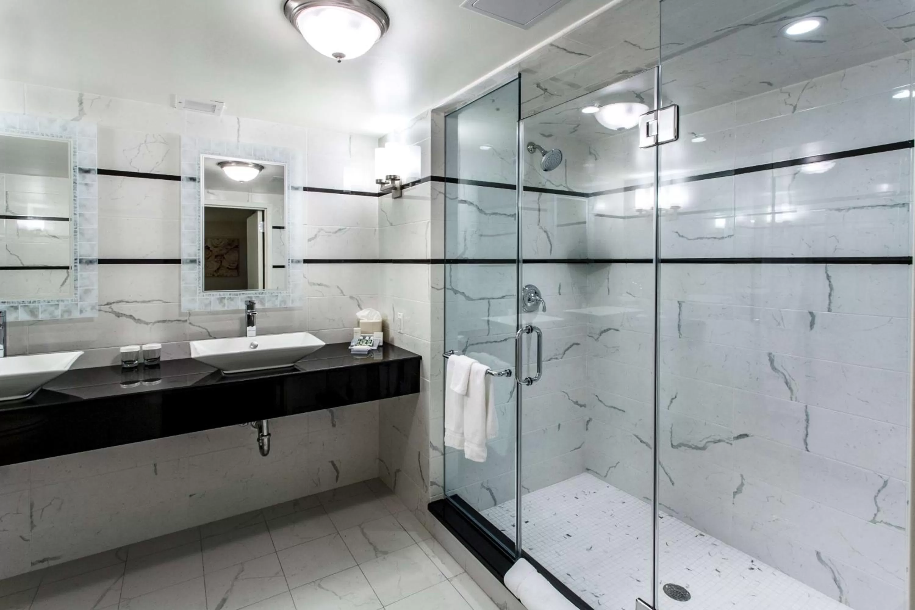 Bathroom in Hilton Garden Inn New York/Staten Island