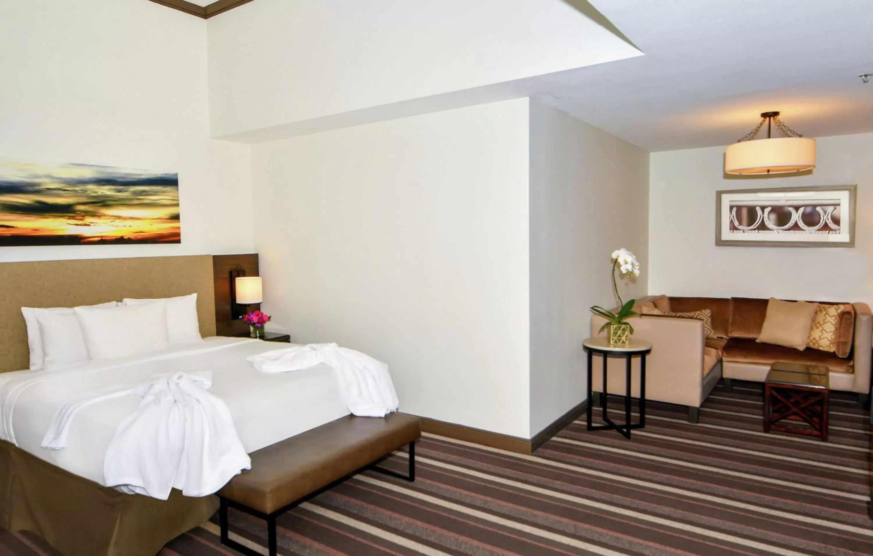 Living room, Bed in Hilton Dallas-Park Cities