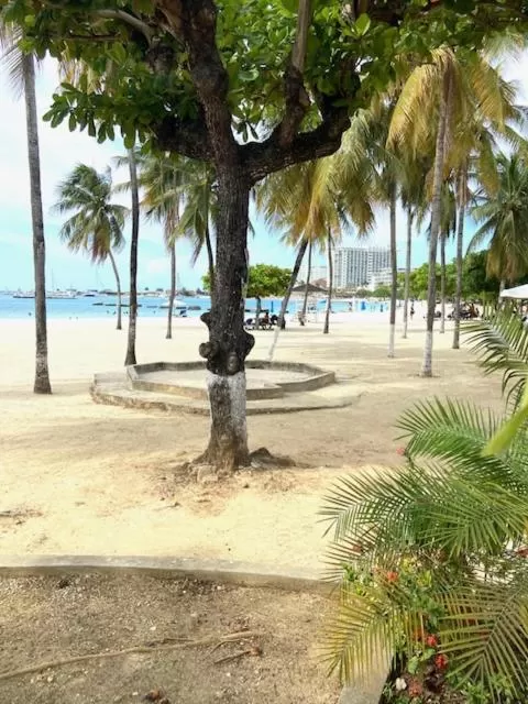 Ocho Rios Vacation Resort Property Rentals