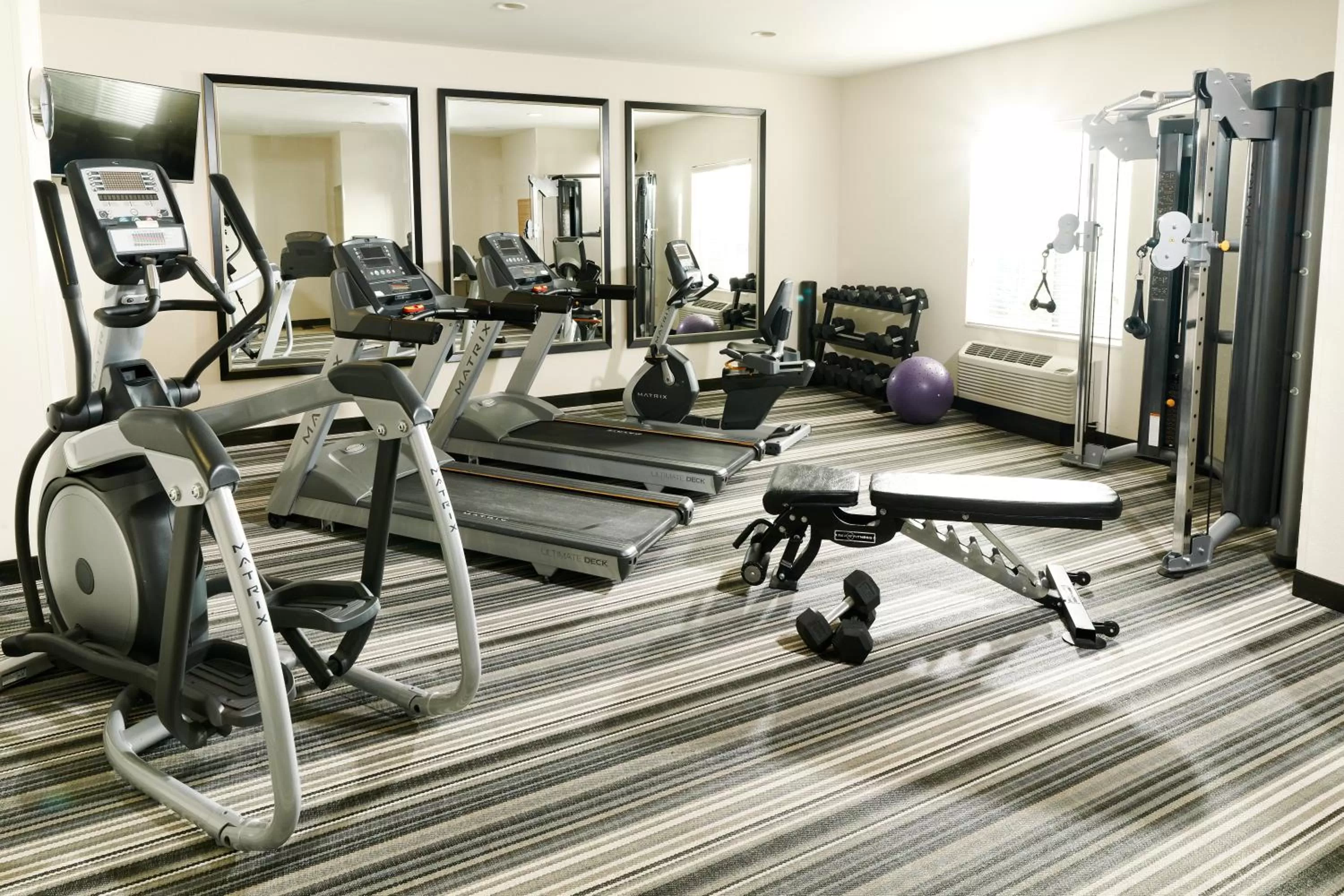 Fitness centre/facilities in Sonesta Simply Suites Detroit Ann Arbor