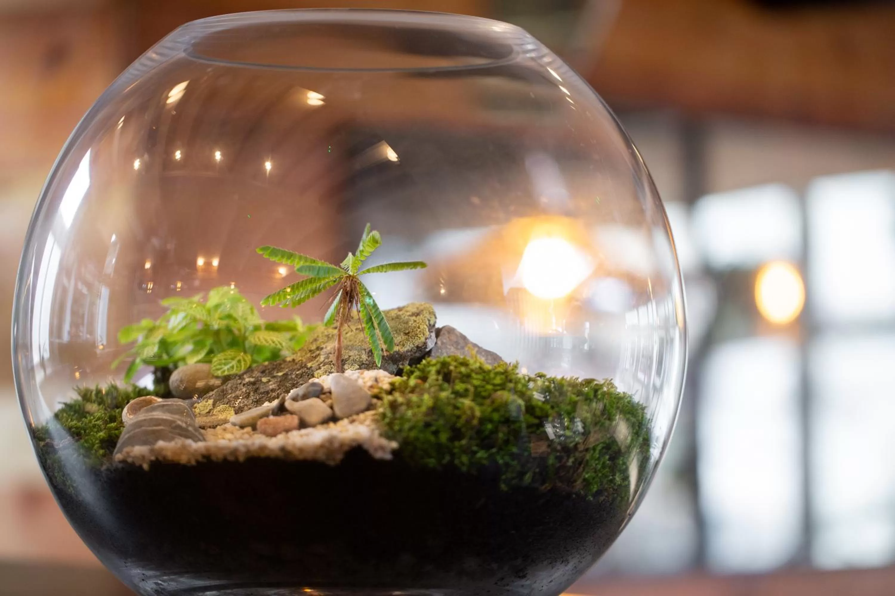 Restaurant/places to eat in The Black Bull Inn