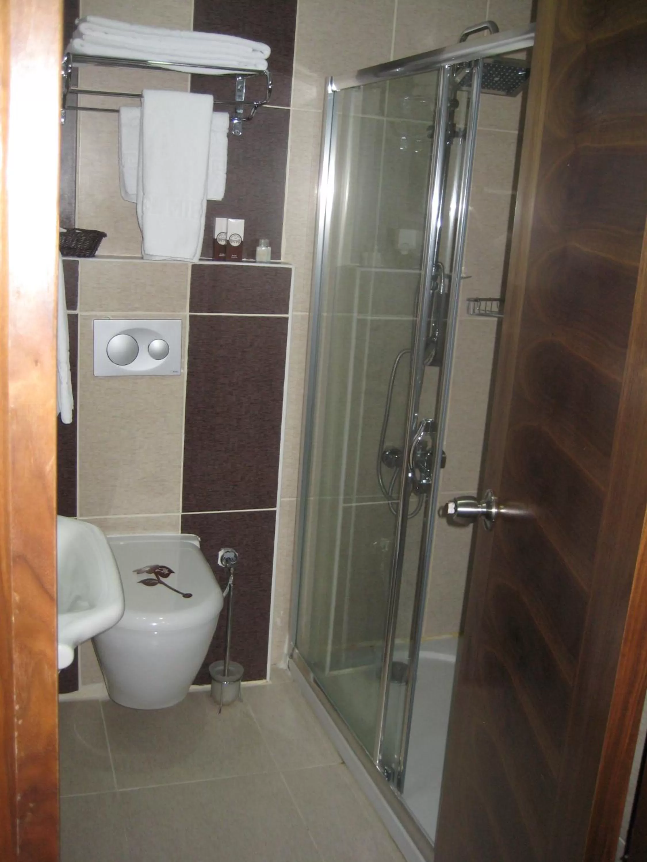 Shower, Bathroom in Miroglu Hotel