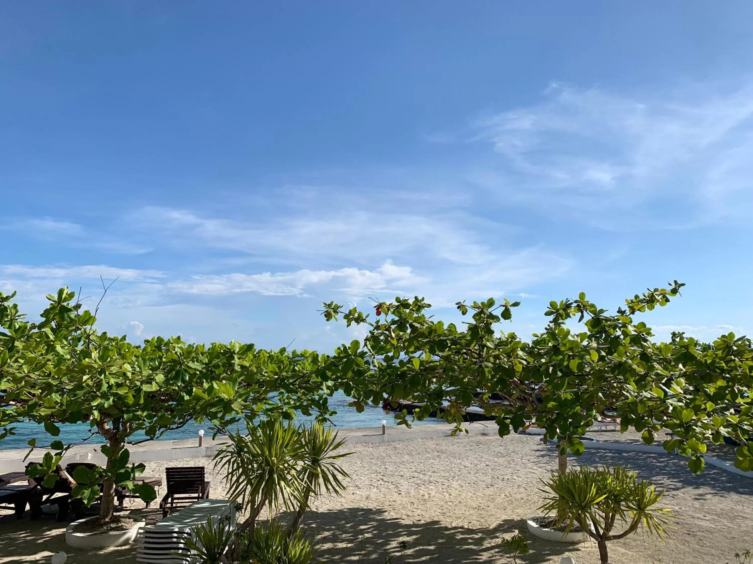 View (from property/room) in Turtle Bay Dive Resort