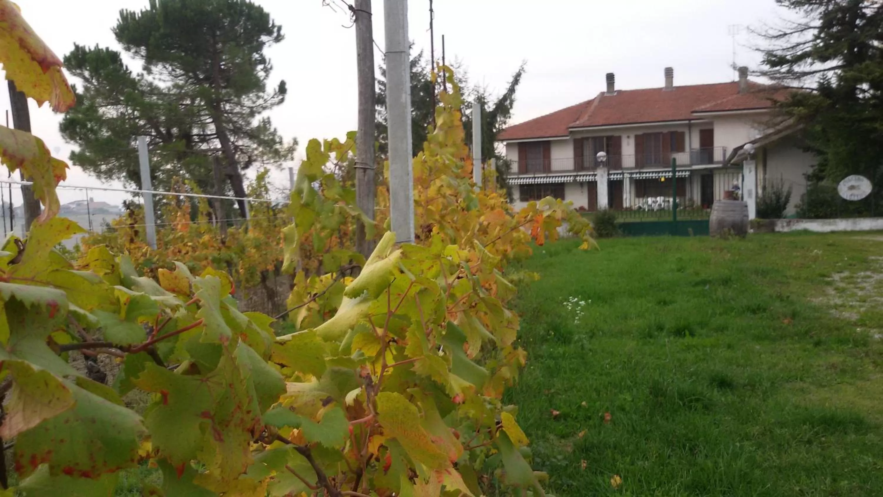 Other in Cascina Torello