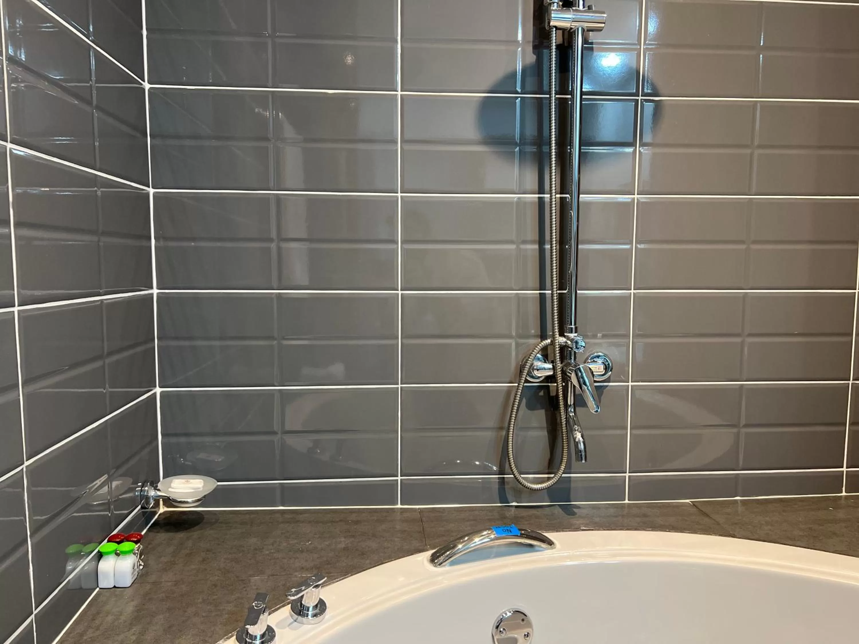 Shower, Bathroom in Hotel Ventura