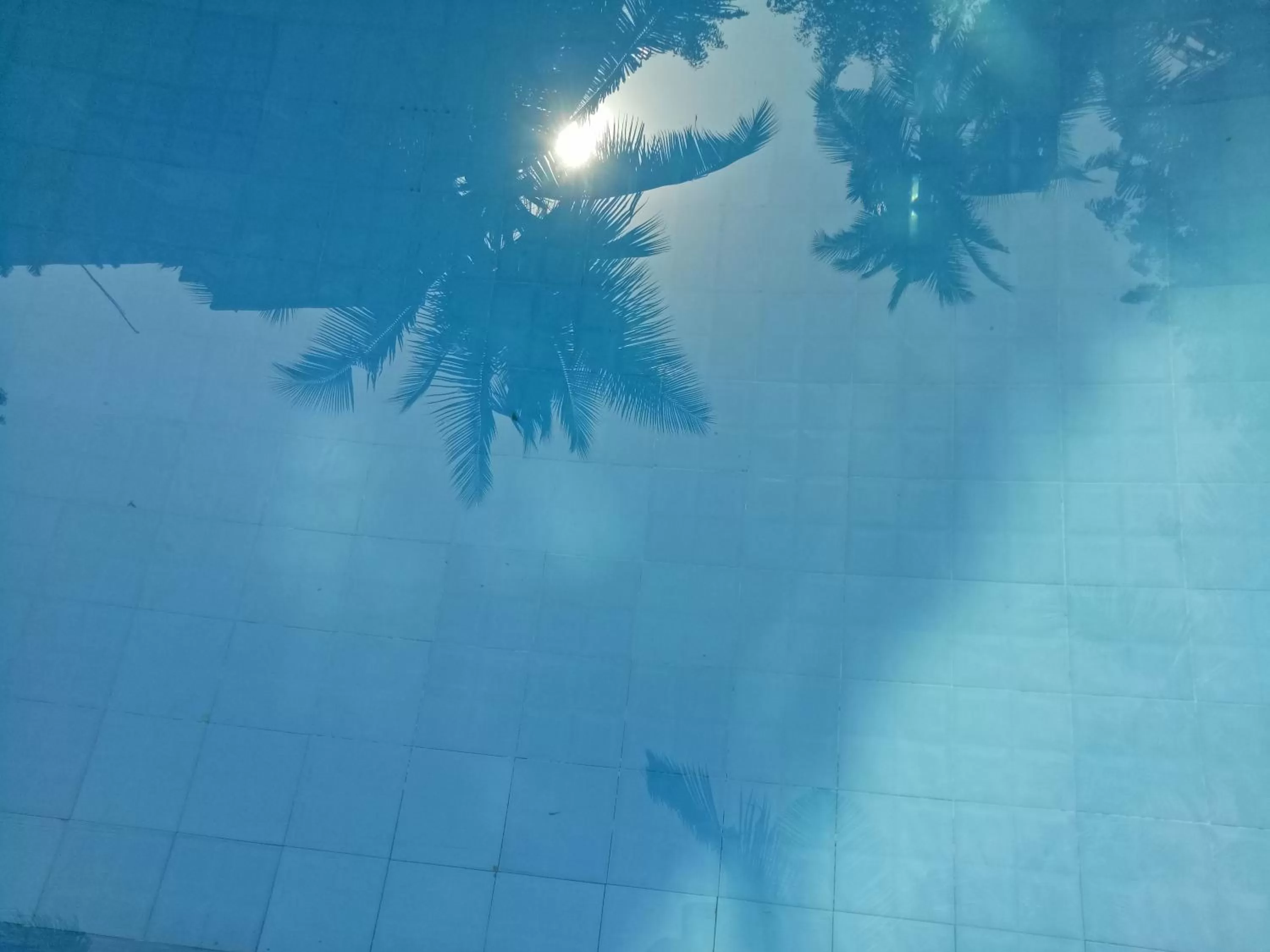 Swimming pool in Wilson Ayurvedic Beach Resorts