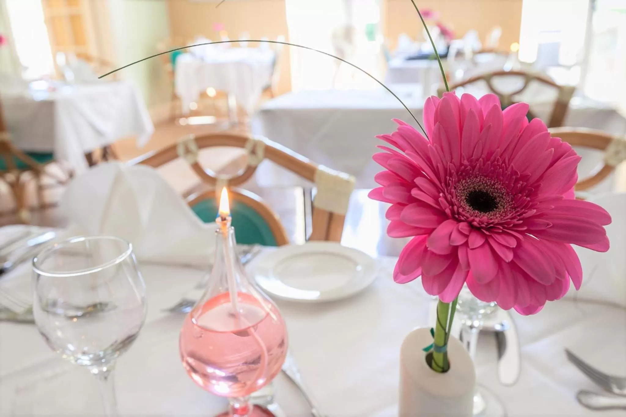 Food close-up in The Hotel Balmoral - Just for Adults
