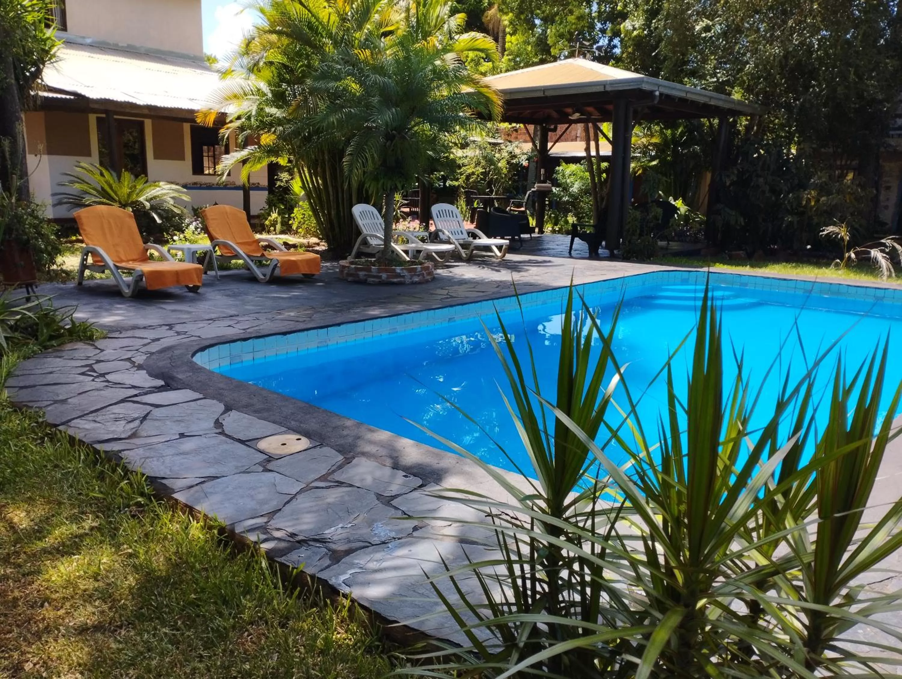 Swimming Pool in Los Tangueros