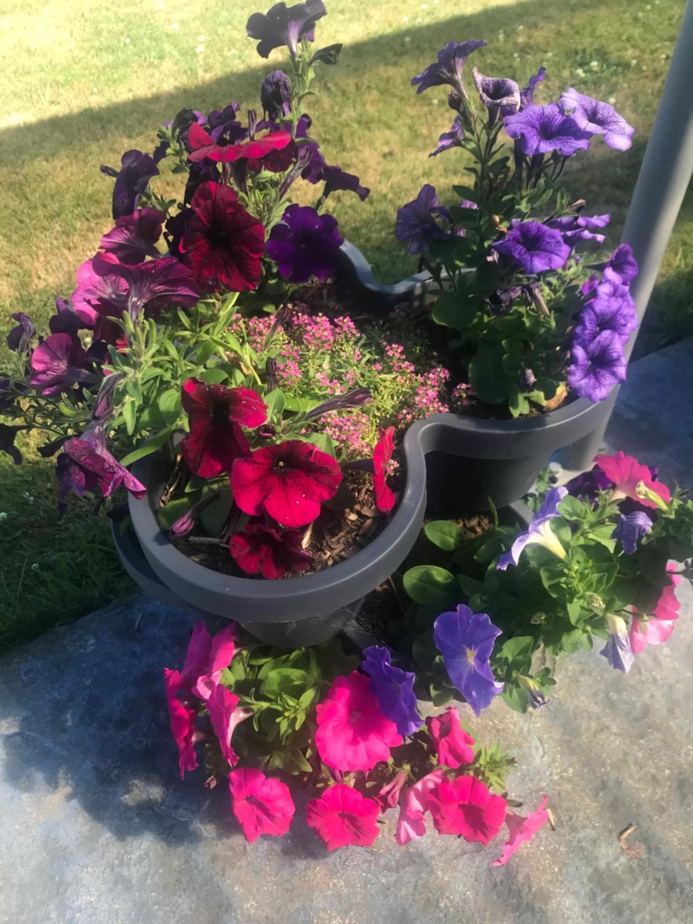 Garden in Newlands Bed and Breakfast