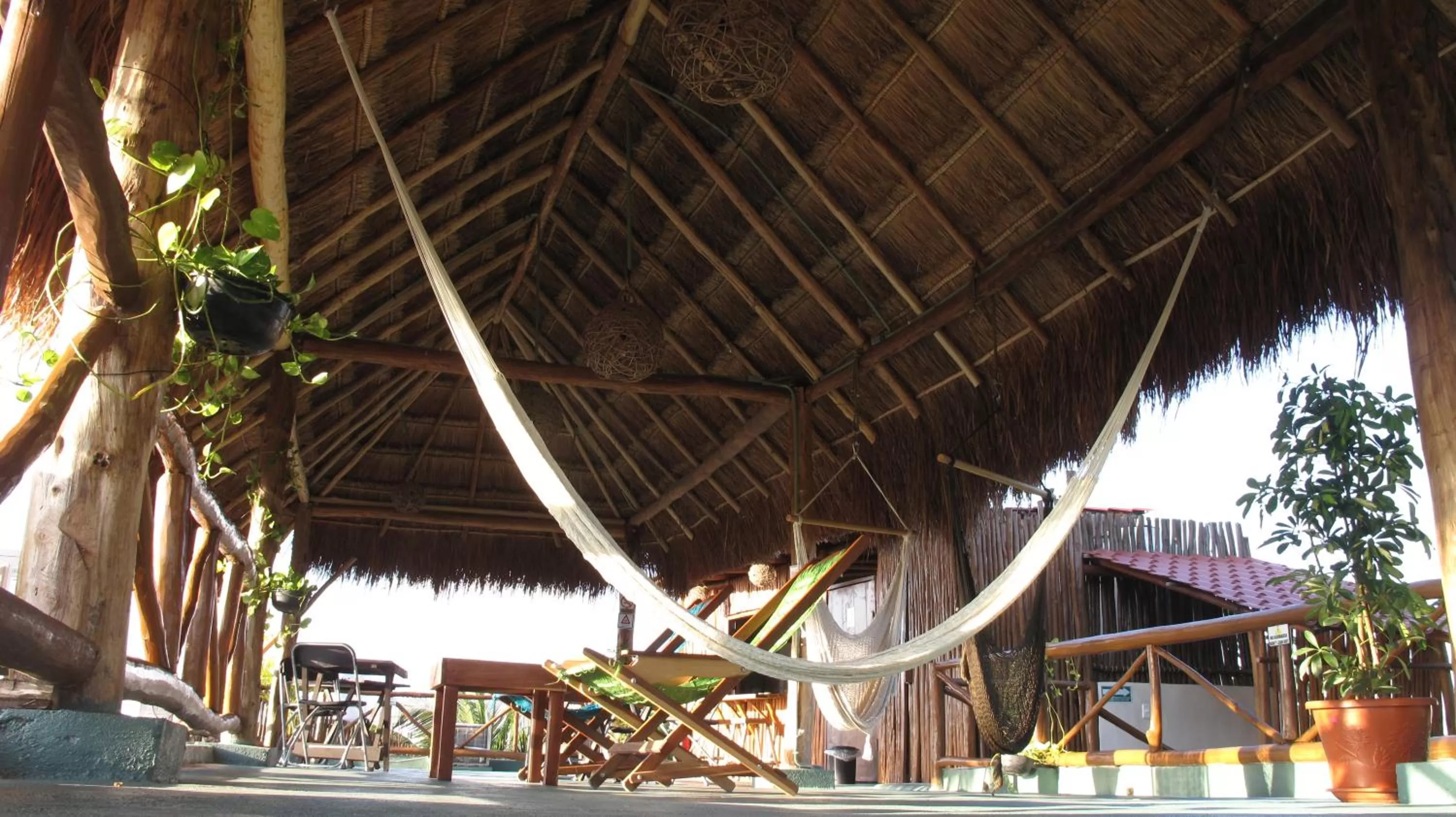 Balcony/Terrace in Casa Almendro