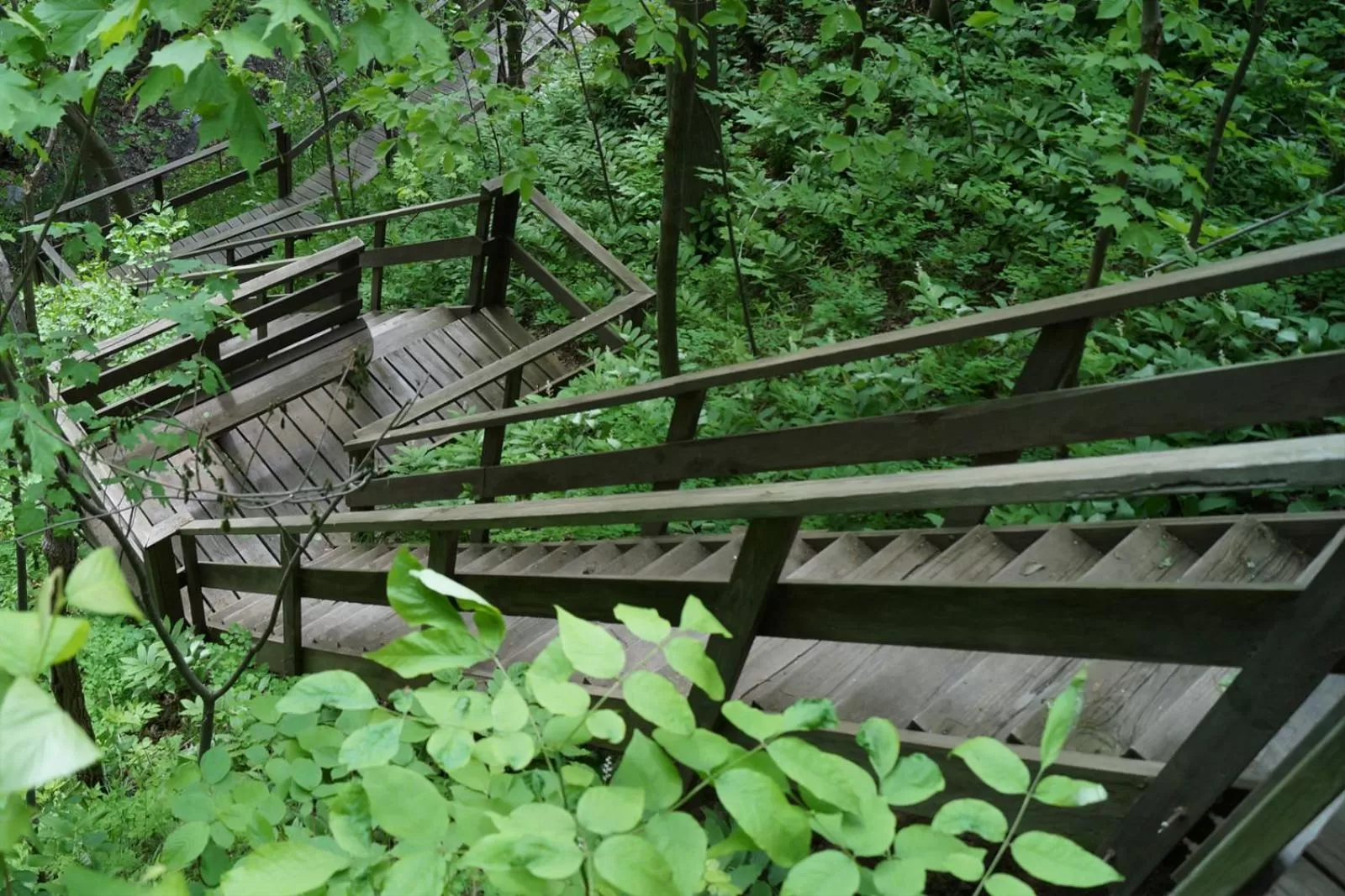 Lakeview on the Lake