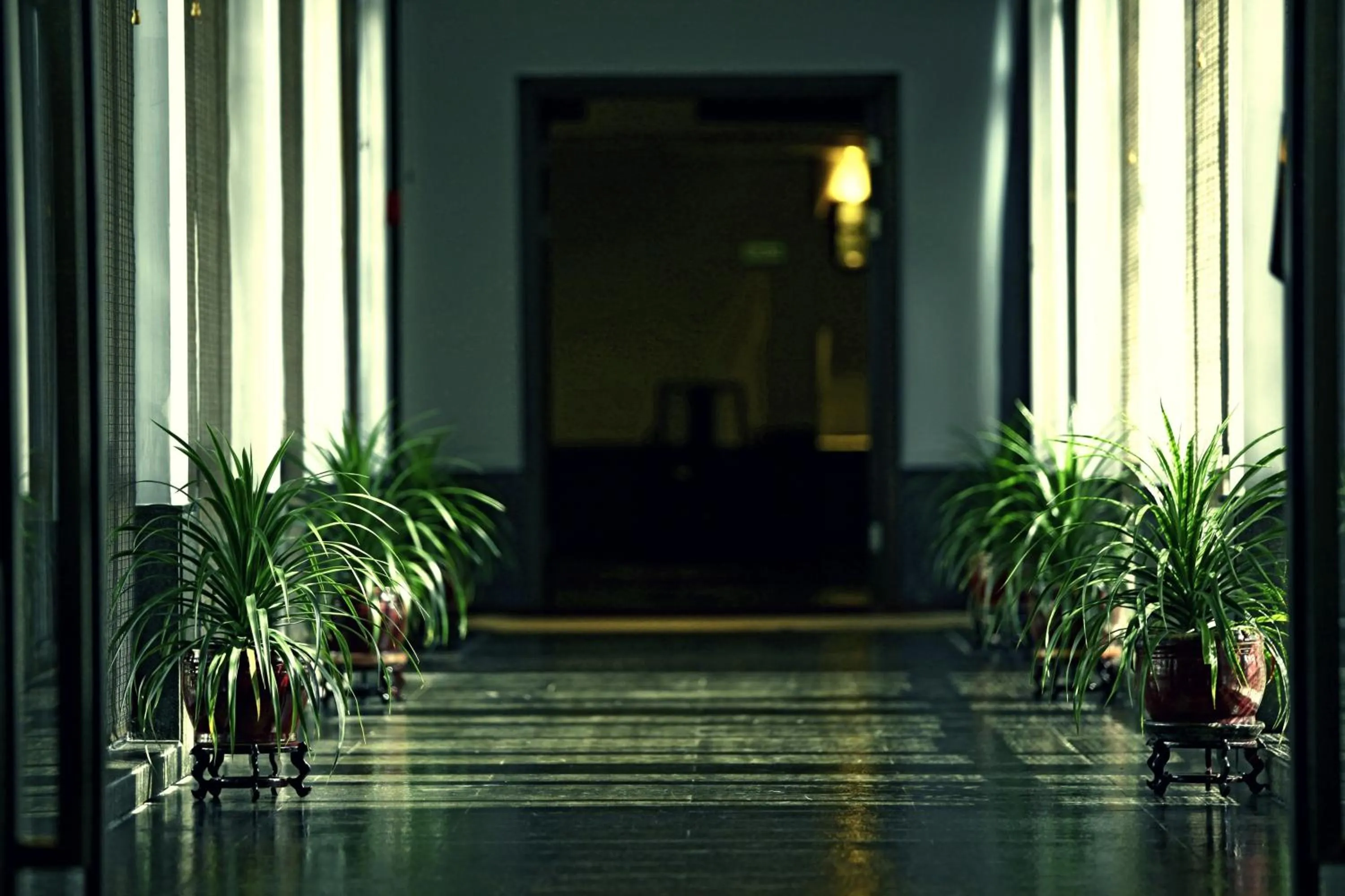 View (from property/room) in Garden Hotel Suzhou