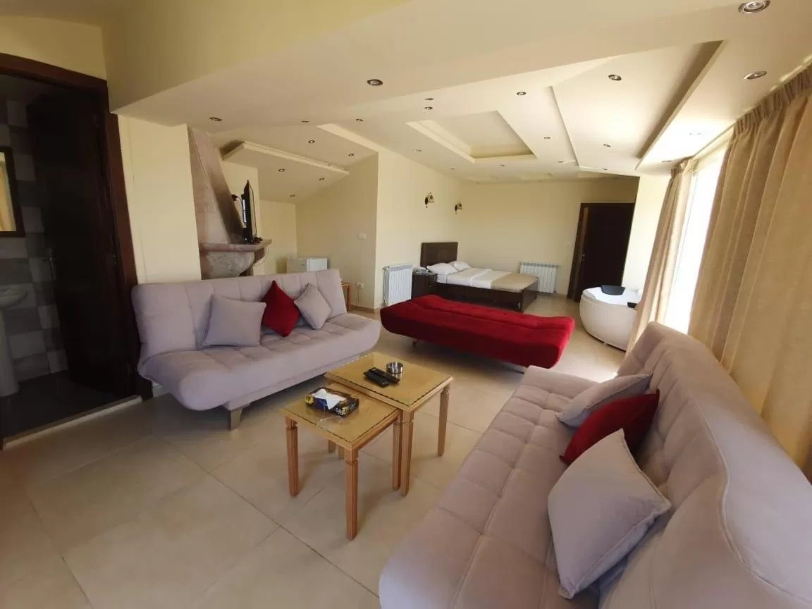 Seating Area in Hotel L'Aiglon