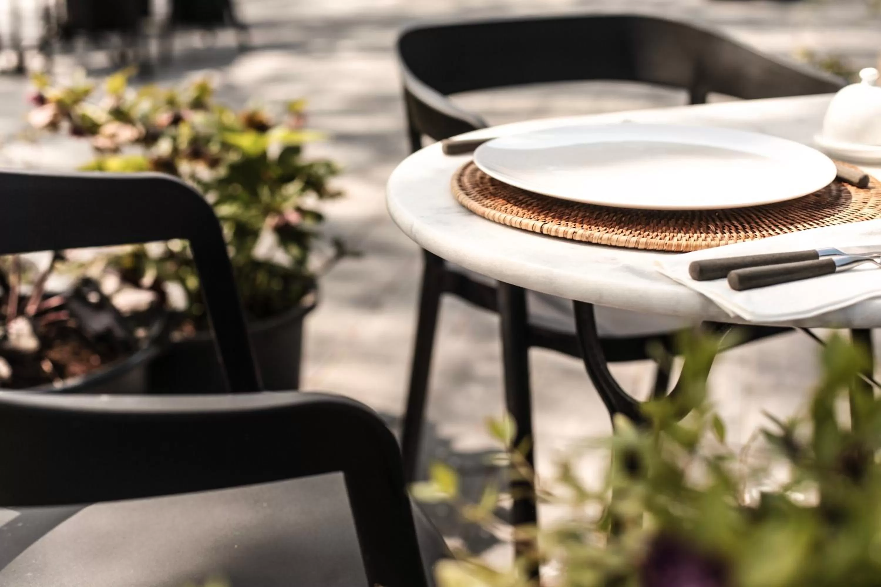 Garden in B&B Hoeve de Haar