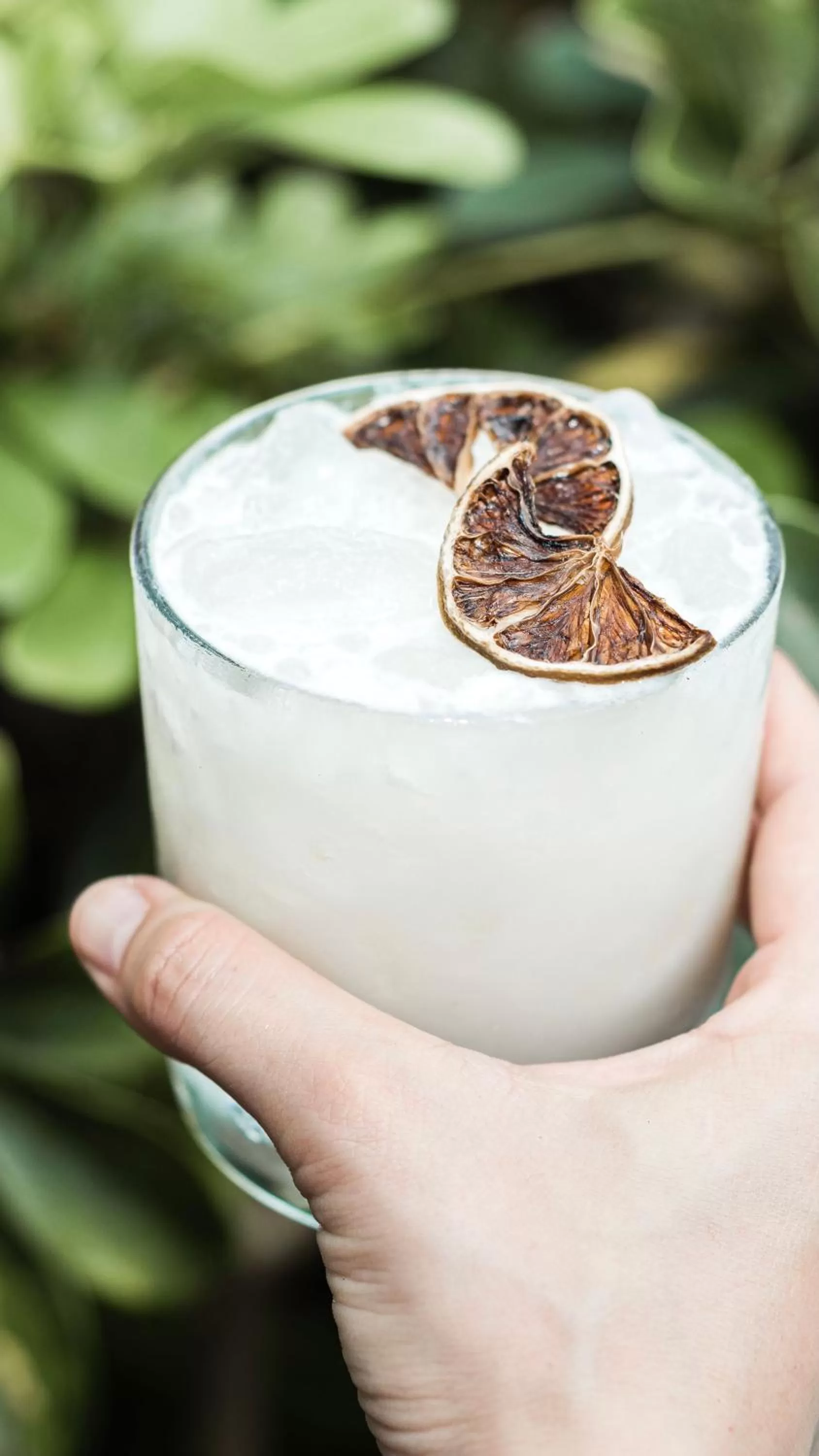 Food and drinks in Monkey Lodge Panama