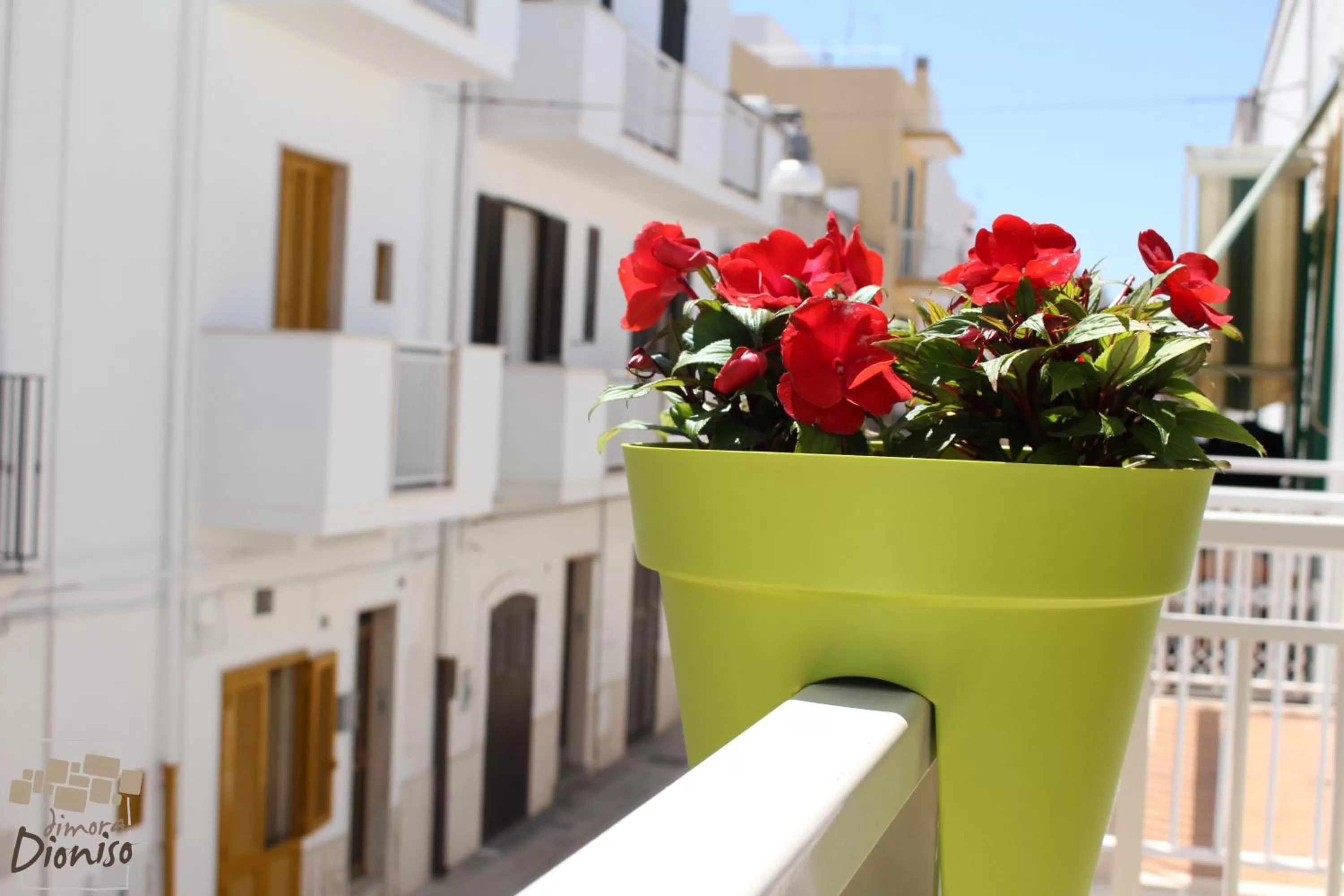 Text overlay in Dimora Dioniso